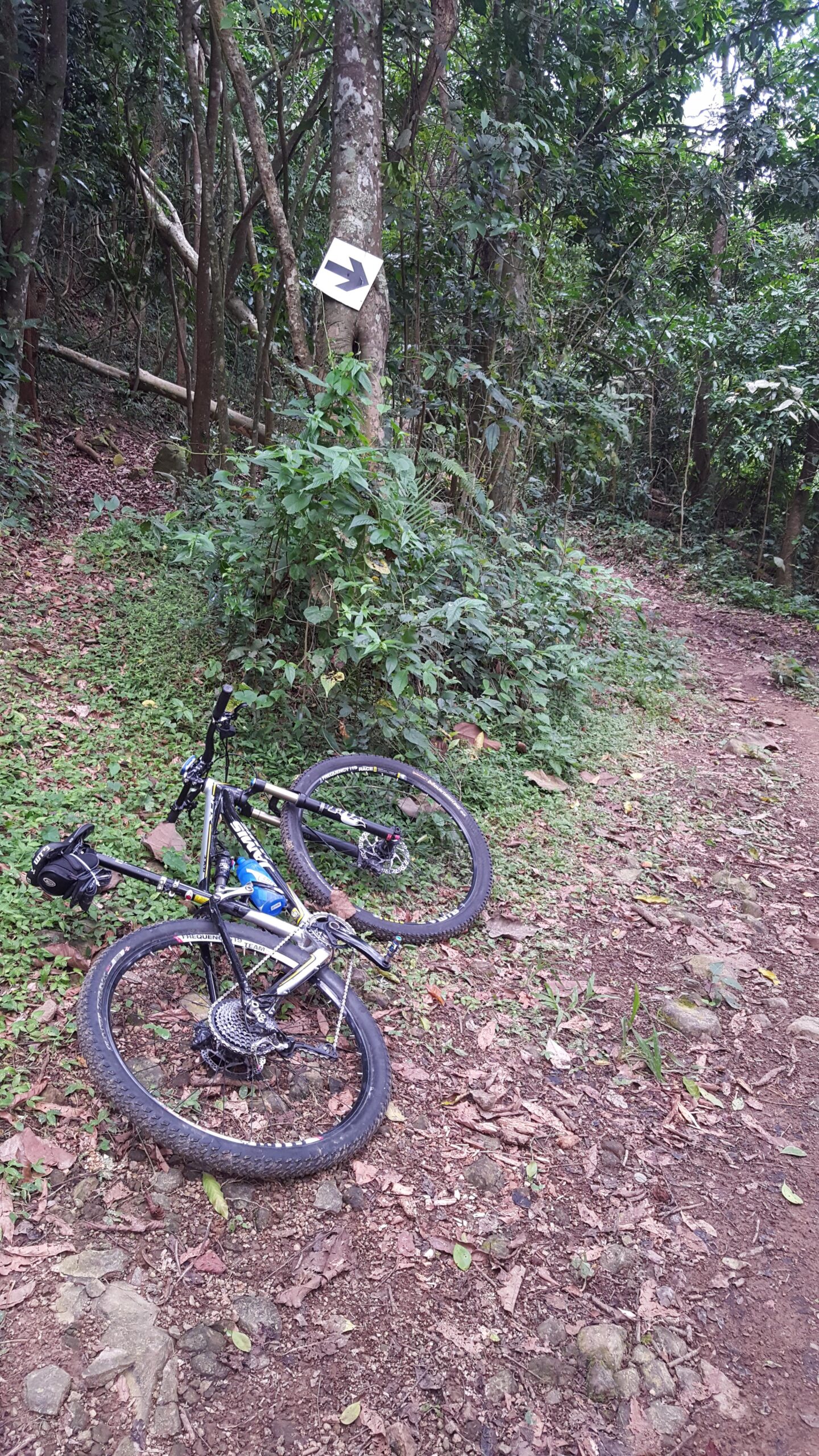 A mountain bike lying on its side on a dirt trail surrounded by lush greenery and trees. A directional arrow sign is affixed to a tree, indicating the path ahead. Aibonito MTB Trail mountain bike trail.