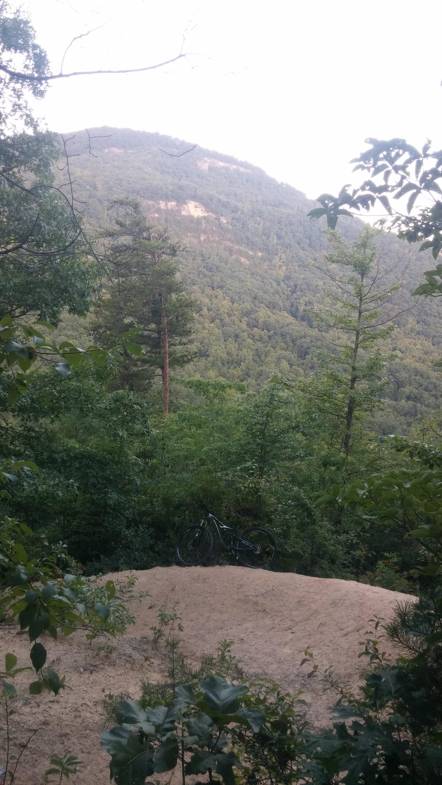A rocky, sandy area surrounded by lush green trees and foliage, with a mountain in the background. A mountain bike is leaning against the edge of the sandy area, partially obscured by plants. Buffalo Creek Park: The Head, The Heart &amp; The Tail (HHT) mountain bike trail.