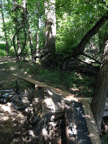 A wooded area with tall trees and dense green foliage. In the foreground, there is a small wooden structure and a bicycle leaning against a nearby tree. The ground is covered with leaves and twigs, and several fallen branches are visible. Horn park loopoid mountain bike trail.