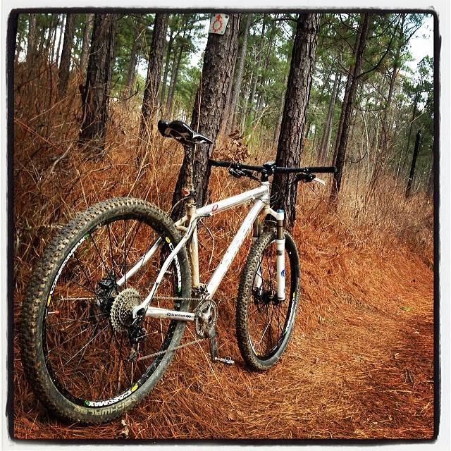A mountain bike resting on a dirt trail surrounded by tall pine trees and dried foliage. The bike has a muddy appearance, indicating recent use on rugged terrain. Sylaward mountain bike trail.