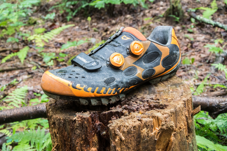 A close-up view of a black and orange cycling shoe resting on a wooden stump in a forested area, surrounded by green foliage. The shoe features a distinctive design with a textured surface and two adjustable dials for a snug fit.
