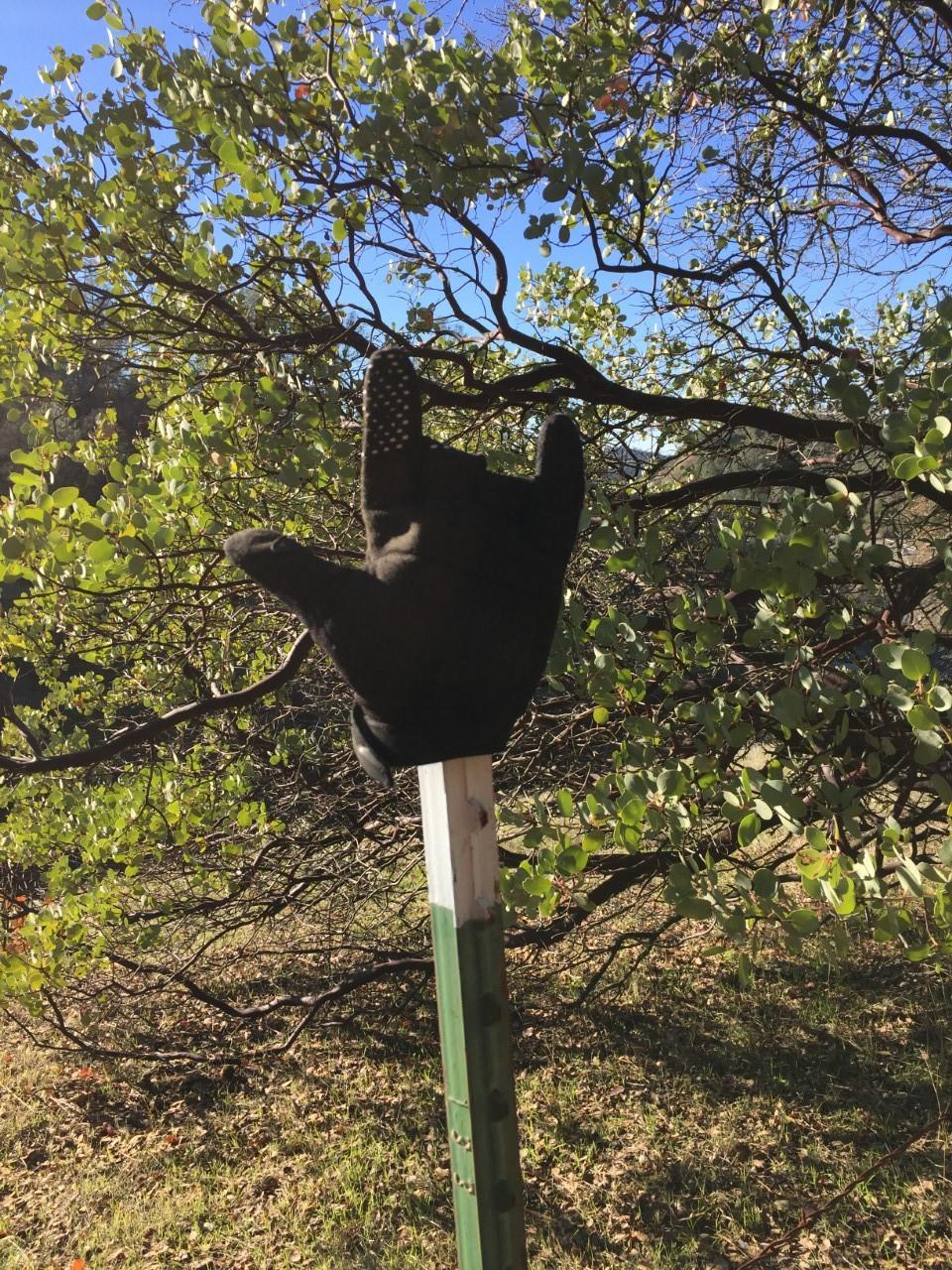 A black glove making a hand gesture resembling the sign for "I love you," positioned on a green pole amidst leafy trees and a clear blue sky. Clementine / Forresthill Connector Trail mountain bike trail.