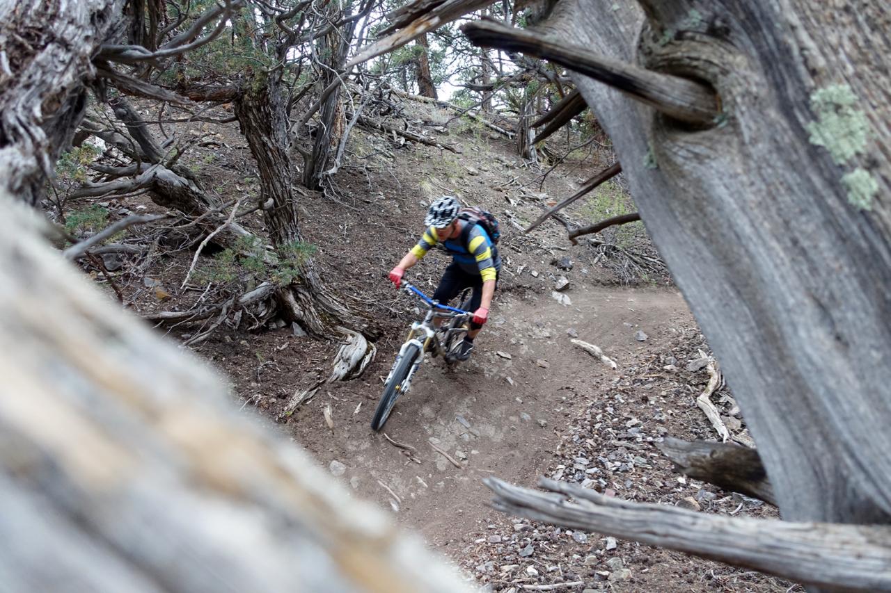 A mountain biker navigating a winding dirt trail through a wooded area, seen through the branches of nearby trees. The cyclist wears a helmet and colorful clothing, focused on maintaining balance as they ride over rocky terrain. Cottonwood mountain bike trail.