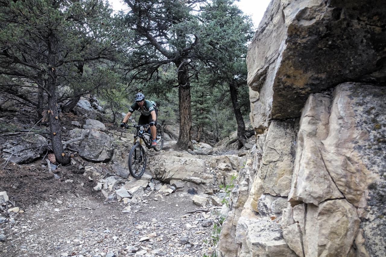 A cyclist navigating a rocky mountain bike trail surrounded by trees. The biker is focused and positioned on a steep descent, showcasing the challenging terrain of the forested landscape. Cottonwood mountain bike trail.