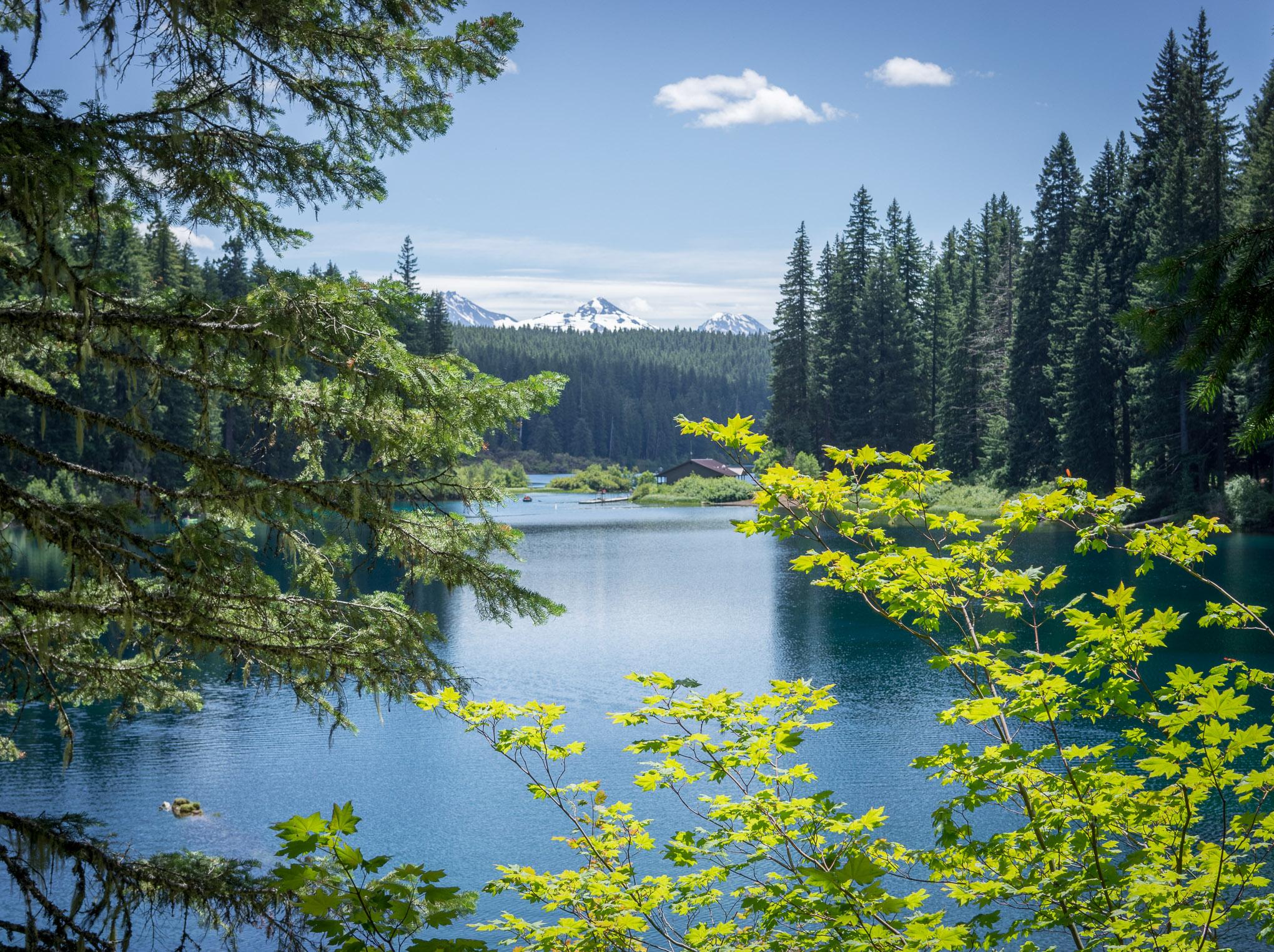 A serene lake surrounded by lush green trees, with snow-capped mountains visible in the distance under a clear blue sky. The water reflects the vibrant colors of the foliage and the landscape, creating a picturesque natural scene. Mckenzie River Trail mountain bike trail.