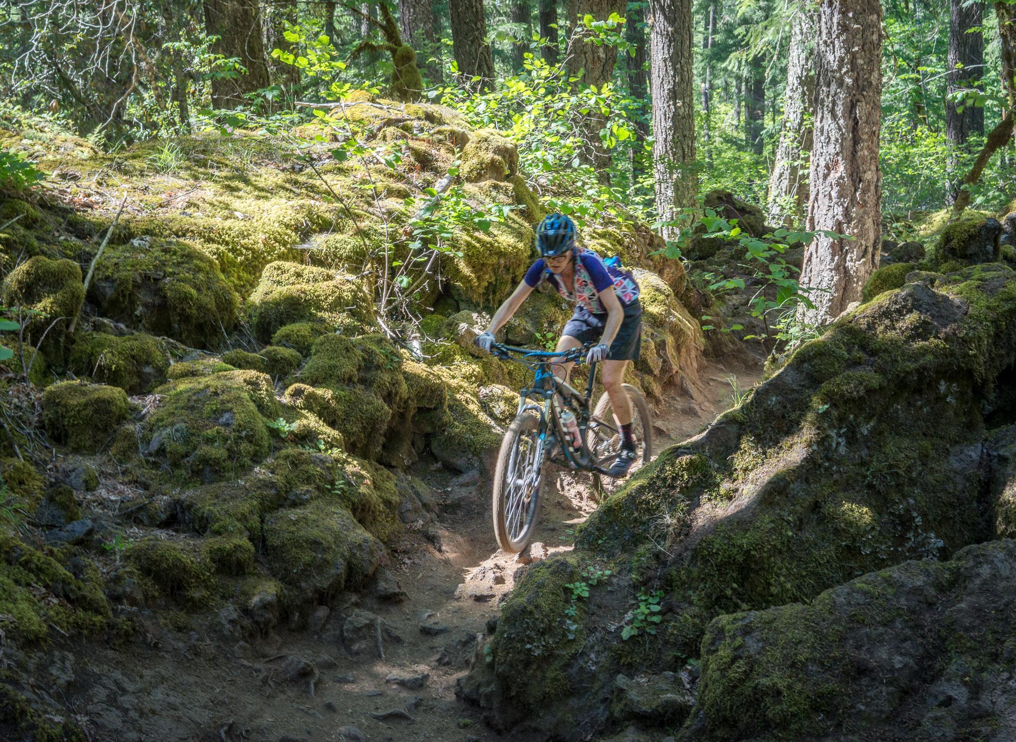 A mountain biker navigating a rocky, moss-covered trail in a dense forest, surrounded by trees and greenery. The rider is focused on the path while handling the bike over uneven terrain. Mckenzie River Trail mountain bike trail.