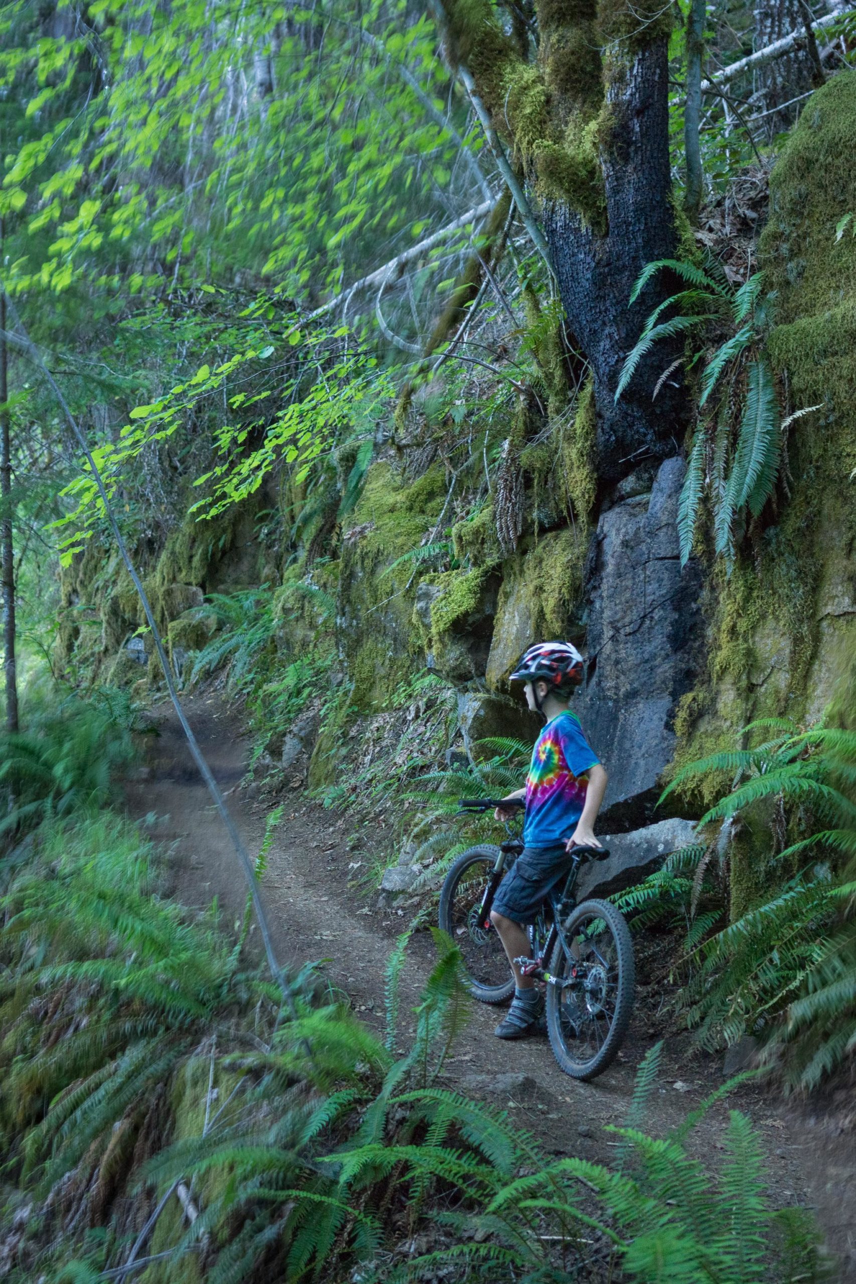 A child wearing a colorful tie-dye shirt and a helmet stands next to a mountain bike on a dirt trail surrounded by lush greenery and ferns. The trail winds between a rocky outcrop and trees, creating a picturesque forest setting. Mckenzie River Trail mountain bike trail.