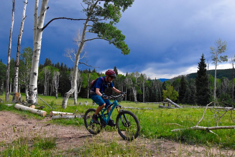 A person riding a mountain bike on a dirt trail surrounded by tall trees and greenery, with a dramatic cloudy sky in the background.