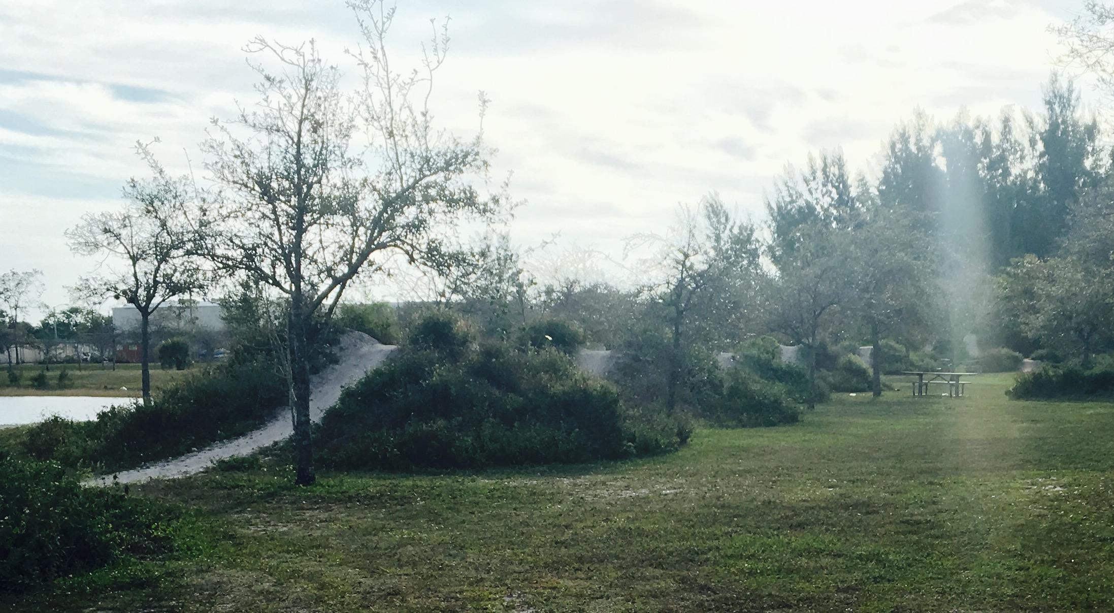 A serene park scene featuring grassy areas and scattered trees. In the background, a small lake is visible, with a sandy path leading up to a raised mound covered in lush greenery. A picnic table can be seen nestled among the trees, and the sky is overcast, creating a soft, diffused light. Amelia Earhart Park mountain bike trail.