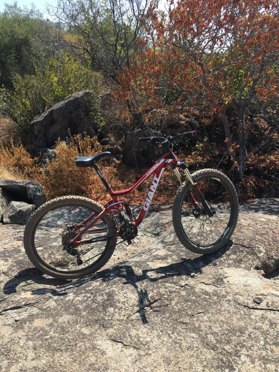 A red mountain bike is positioned on a rocky surface, surrounded by vegetation with green and dried orange leaves. The scene captures a sunny outdoor environment, ideal for biking adventures. Granite Bay Trail mountain bike trail.