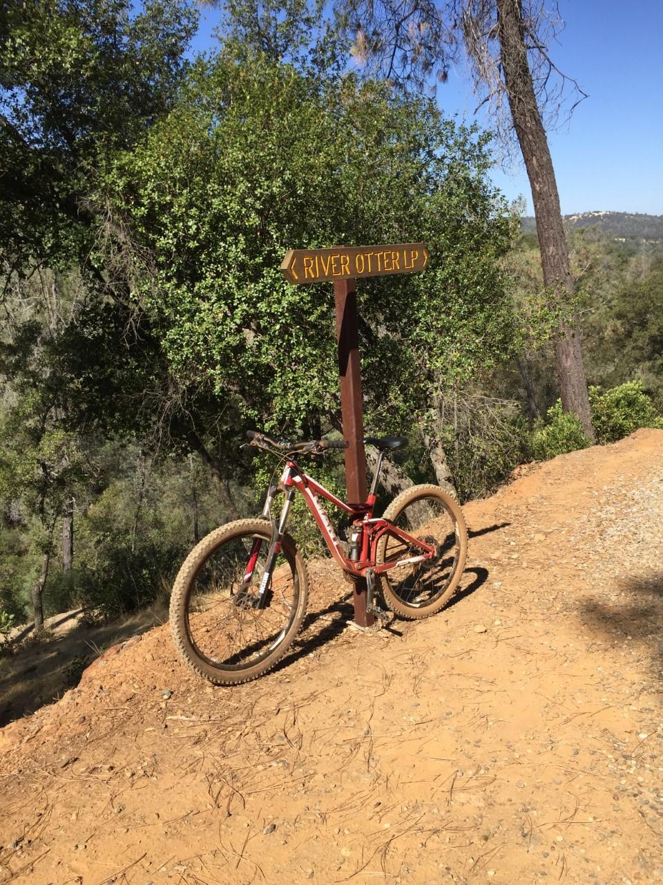 A mountain bike parked on a dirt trail with a wooden signpost indicating "River Otter Up" nearby, surrounded by trees and greenery under a clear blue sky. Hidden Falls Regional Park mountain bike trail.