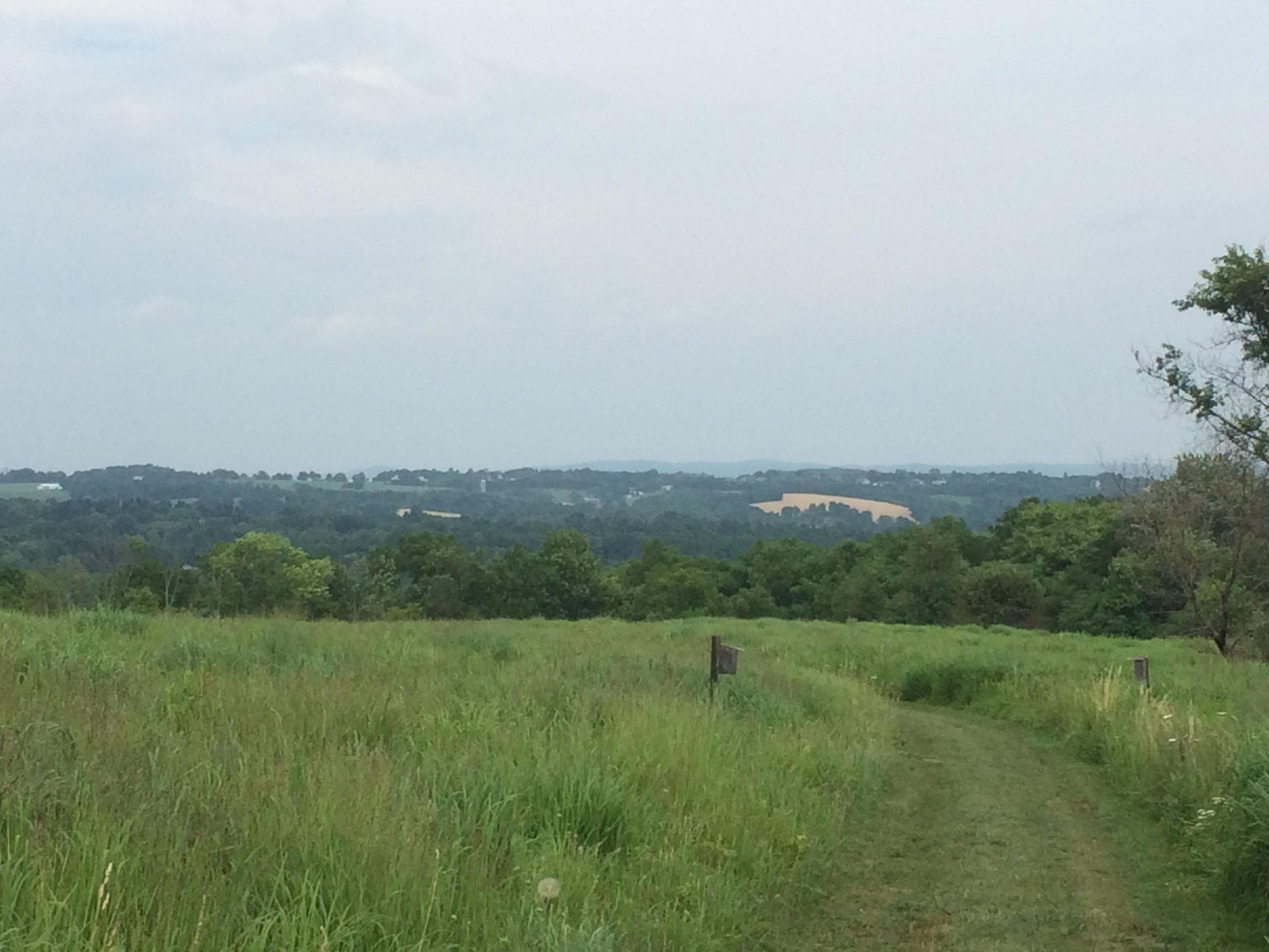 A panoramic view of rolling hills and lush greenery under a cloudy sky, featuring a dirt path winding through tall grass. In the distance, fields are visible, adding to the serene, natural landscape. Jacobsburg Park mountain bike trail.