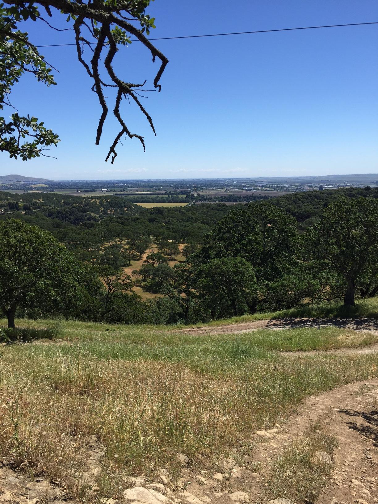 A scenic view from a hillside, featuring a clear blue sky, rolling green fields, and scattered trees. In the foreground, a rocky, winding path leads down the hill, while the expansive landscape below stretches towards the horizon. Rockville Park mountain bike trail.