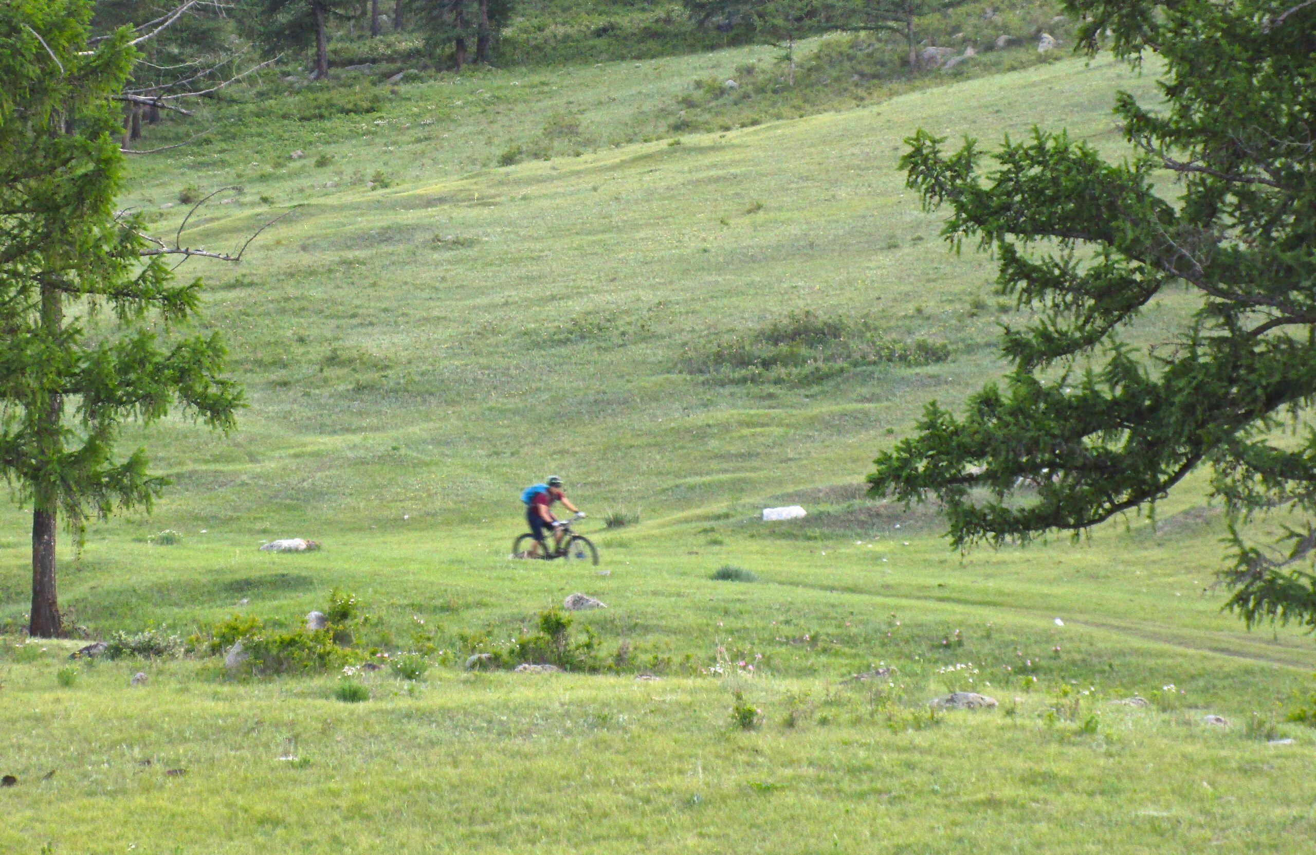 A person riding a mountain bike through a lush green field, surrounded by trees and distant hills. Chuluut Am mountain bike trail.