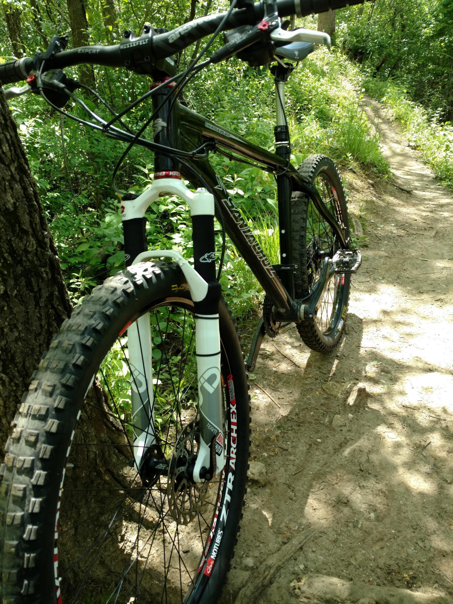 Santa Cruz Chameleon: A close-up view of a mountain bike leaning against a tree on a dirt trail surrounded by lush greenery. The bike features a black frame with white and red accents, highlighting the front forks and wheels. The background showcases a winding path through vibrant foliage.