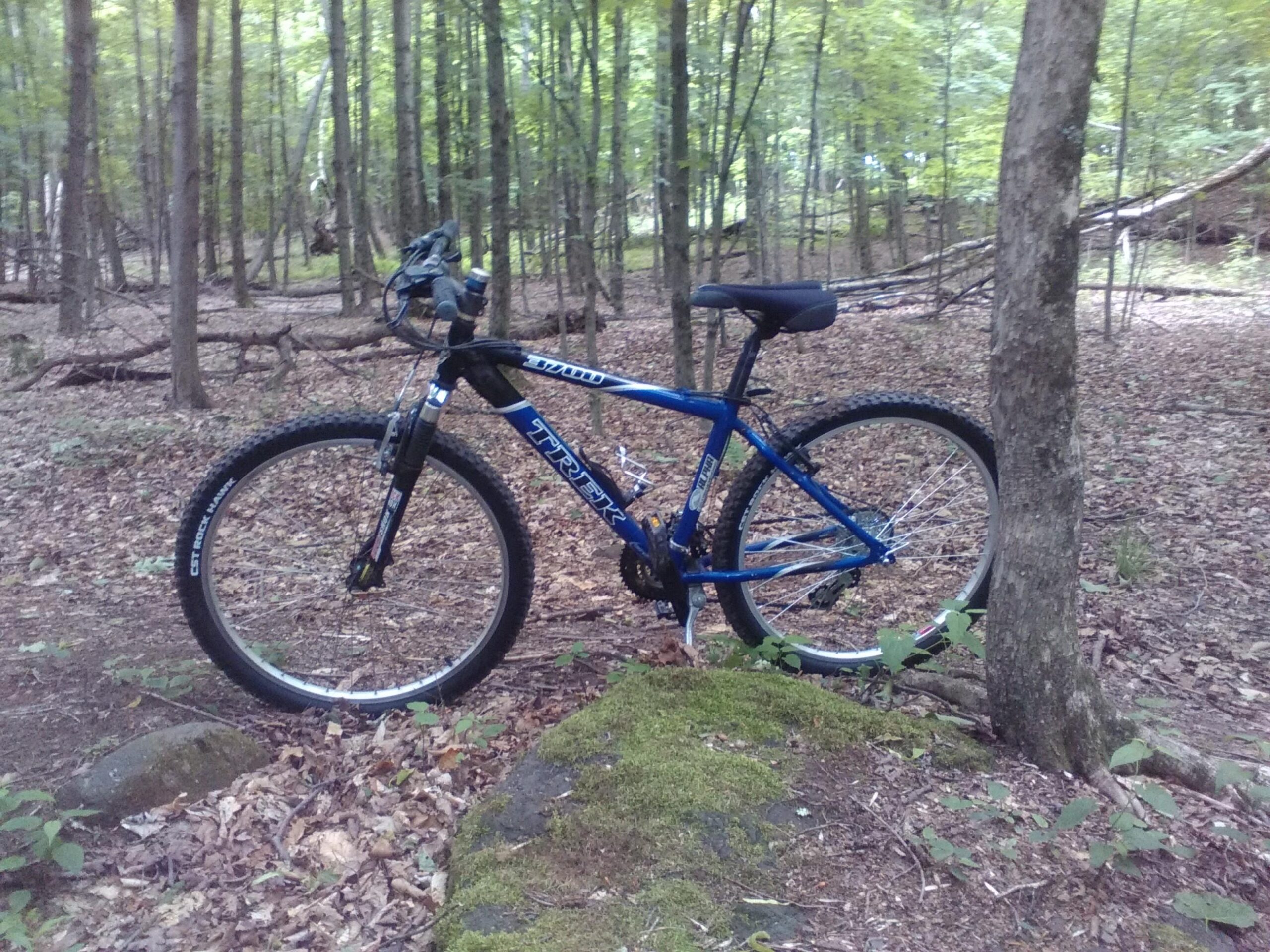 Trek 3700: A blue mountain bike leaning against a mossy rock in a wooded area, surrounded by tall trees and scattered leaves on the ground.