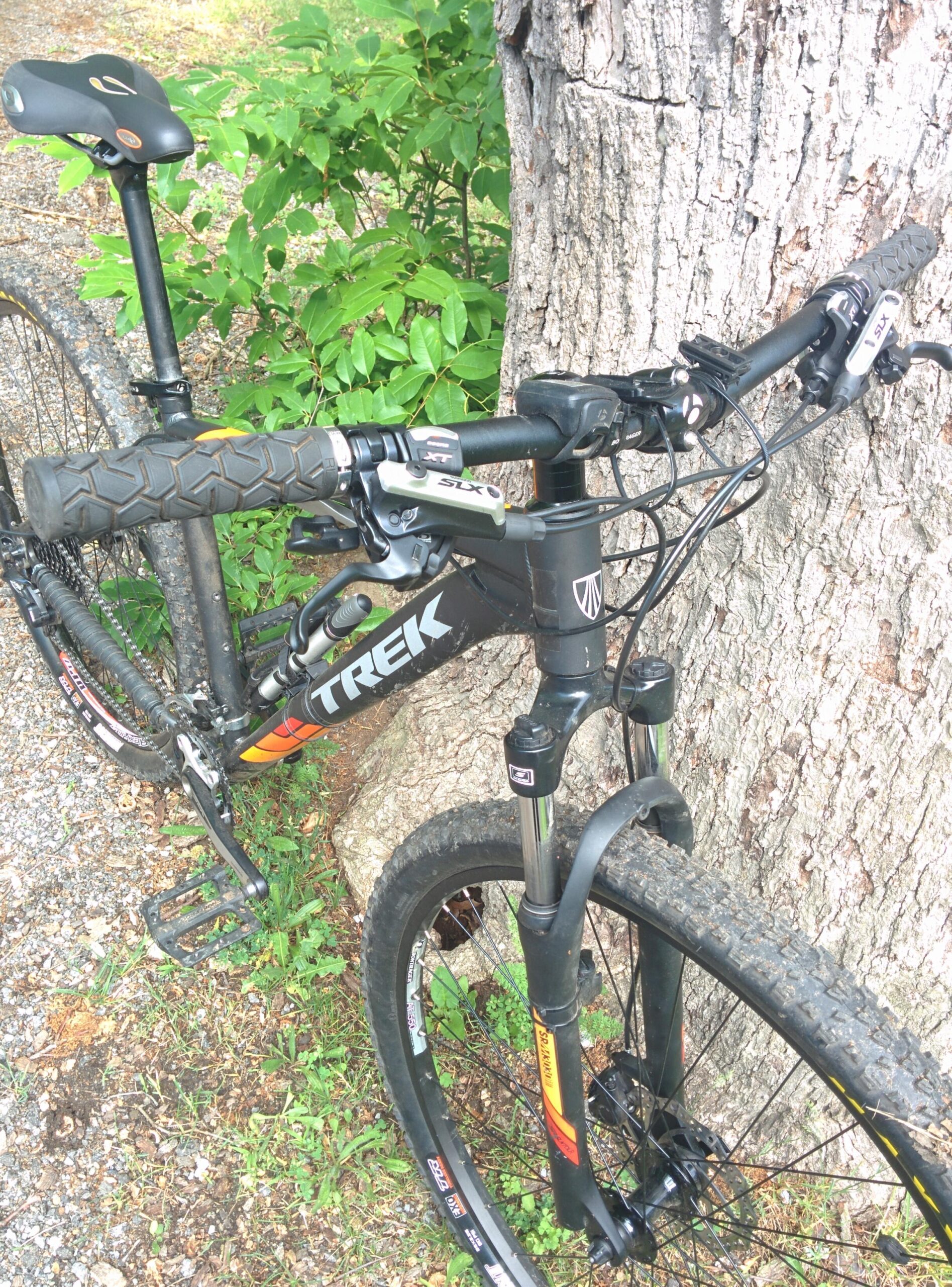 Trek Marlin 5 29er: A black and orange Trek mountain bike leaning against a tree, with focus on the handlebars, brake levers, and front wheel. The bike is positioned on gravel ground with some green foliage in the background.