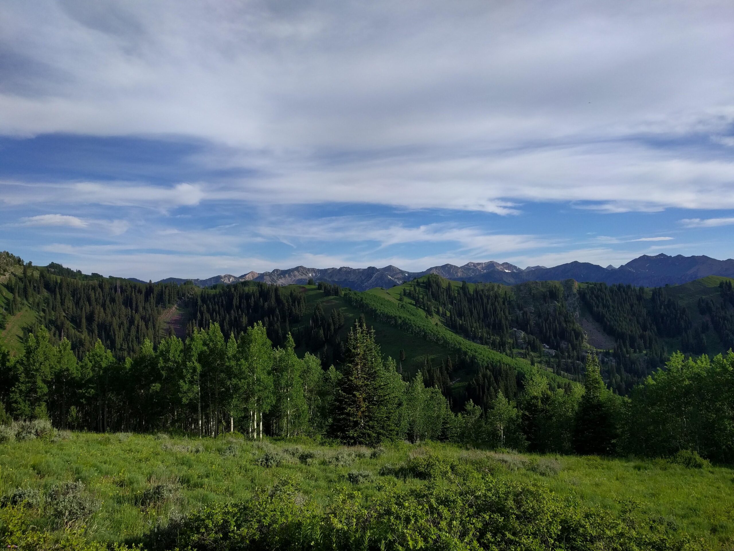 A panoramic view of lush green mountains under a partly cloudy sky. The landscape features dense forests of pine and aspen trees, with rolling hills leading up to jagged peaks in the background. Sunlight casts shadows across the terrain, creating a serene and picturesque natural setting. Wasatch Crest mountain bike trail.