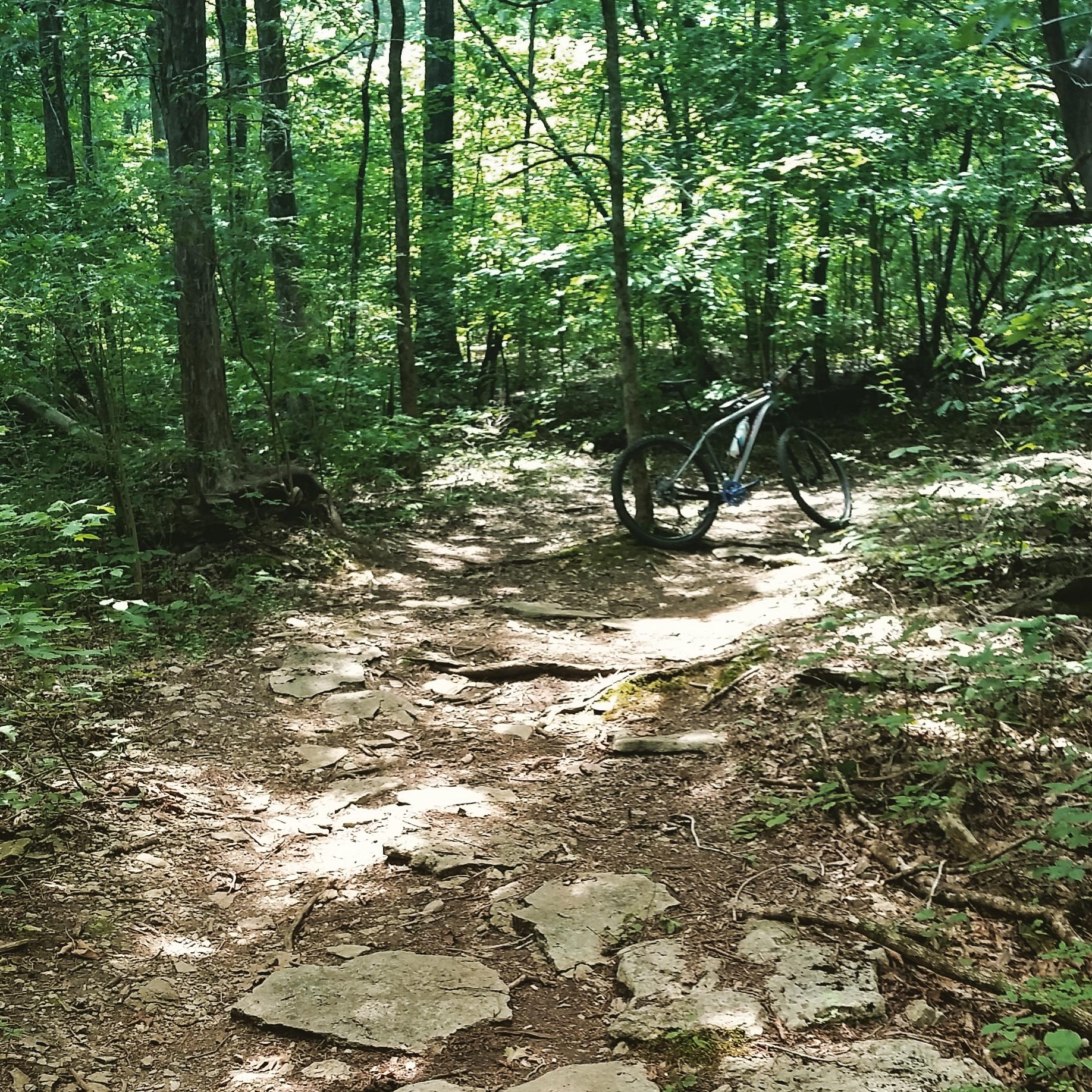 A winding dirt pathway surrounded by dense green trees, with a mountain bike resting on the trail. Rocky patches and sunlight filtering through the foliage create a natural, serene atmosphere. Hamilton Creek mountain bike trail.