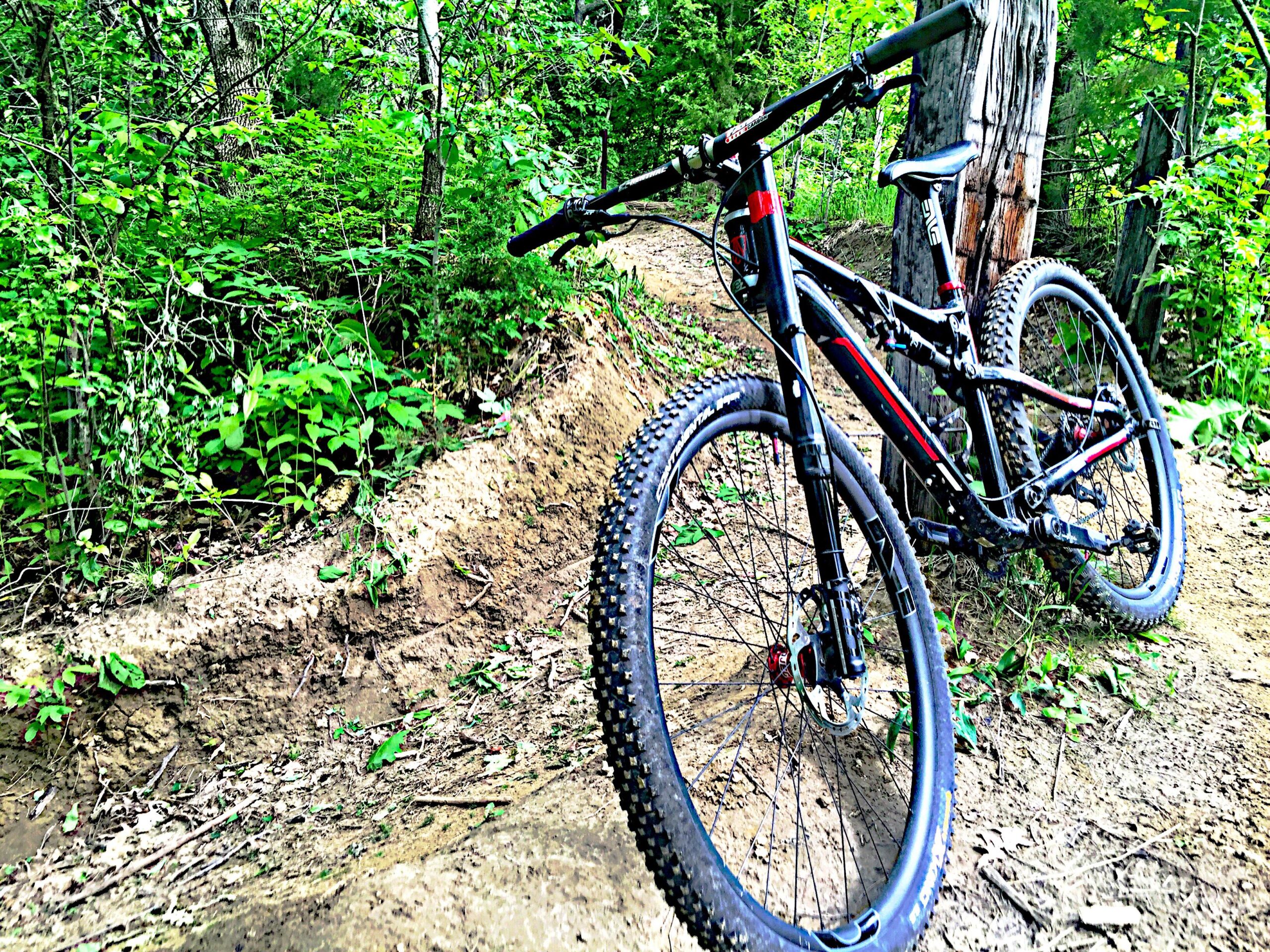 A mountain bike leaning against a tree on a dirt trail surrounded by lush green foliage. The bike features a black frame with red accents and has rugged, knobby tires suited for off-road biking. The path is slightly elevated and winding through a forested area.