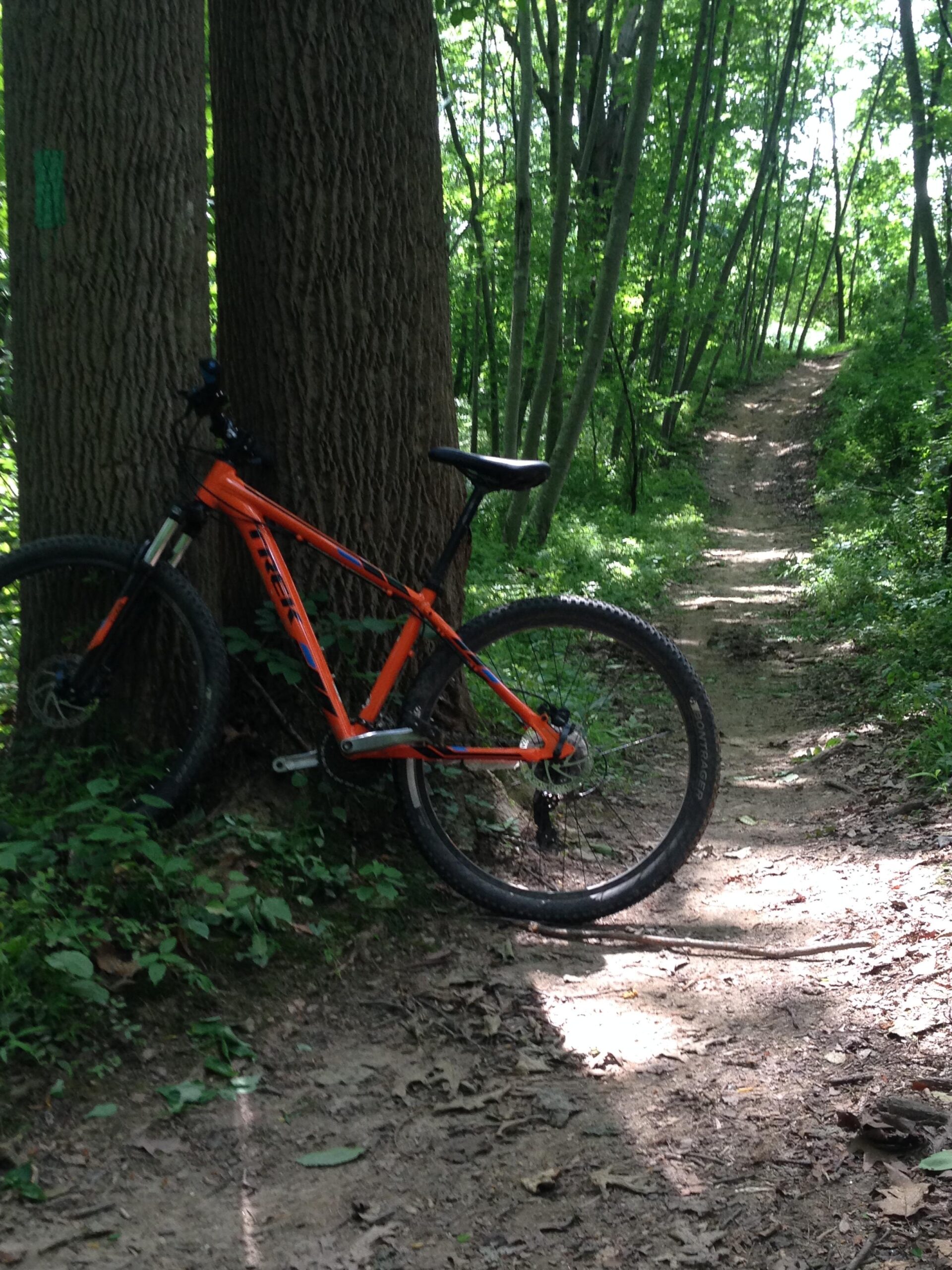 Fair Hill Orange And Green Loops - IMG 2154 Orig Scaled