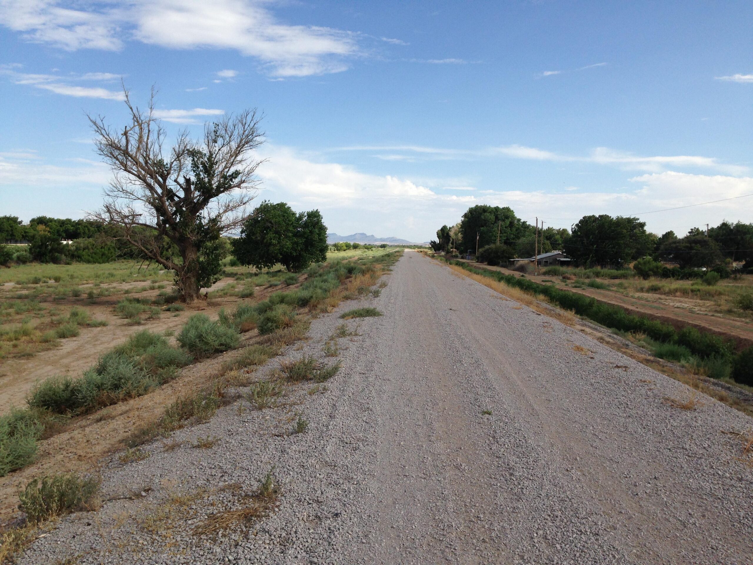 A gravel path stretches into the distance, flanked by sparse vegetation and a few scattered trees. On the left, a leafless tree stands prominently, while to the right, a row of green trees lines the path, leading to nearby structures in the background. The sky is partly cloudy with blue patches, and mountains are faintly visible in the distance. River Trail mountain bike trail.