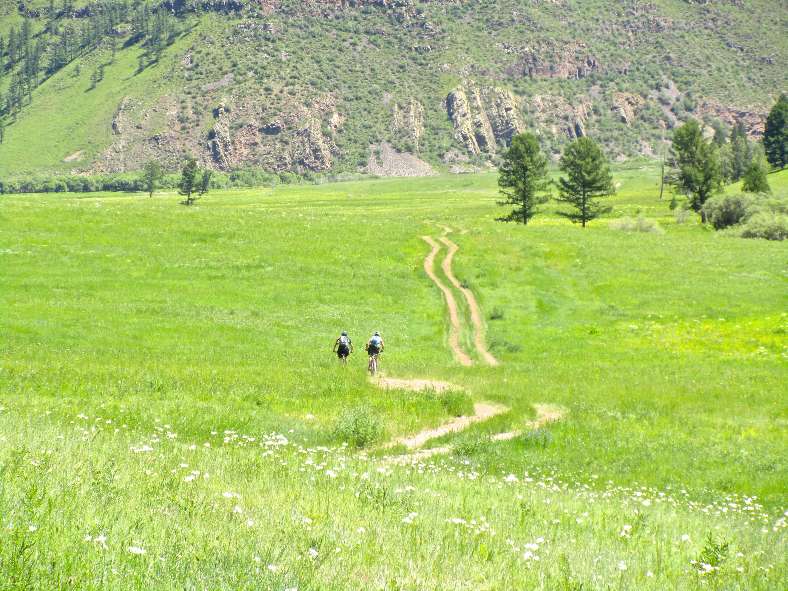 Two individuals walking along a winding dirt path through a lush green field, surrounded by trees and rolling hills under a clear blue sky. Wildflowers dot the grassy landscape, creating a serene and picturesque outdoor scene. Khargana Gol mountain bike trail.