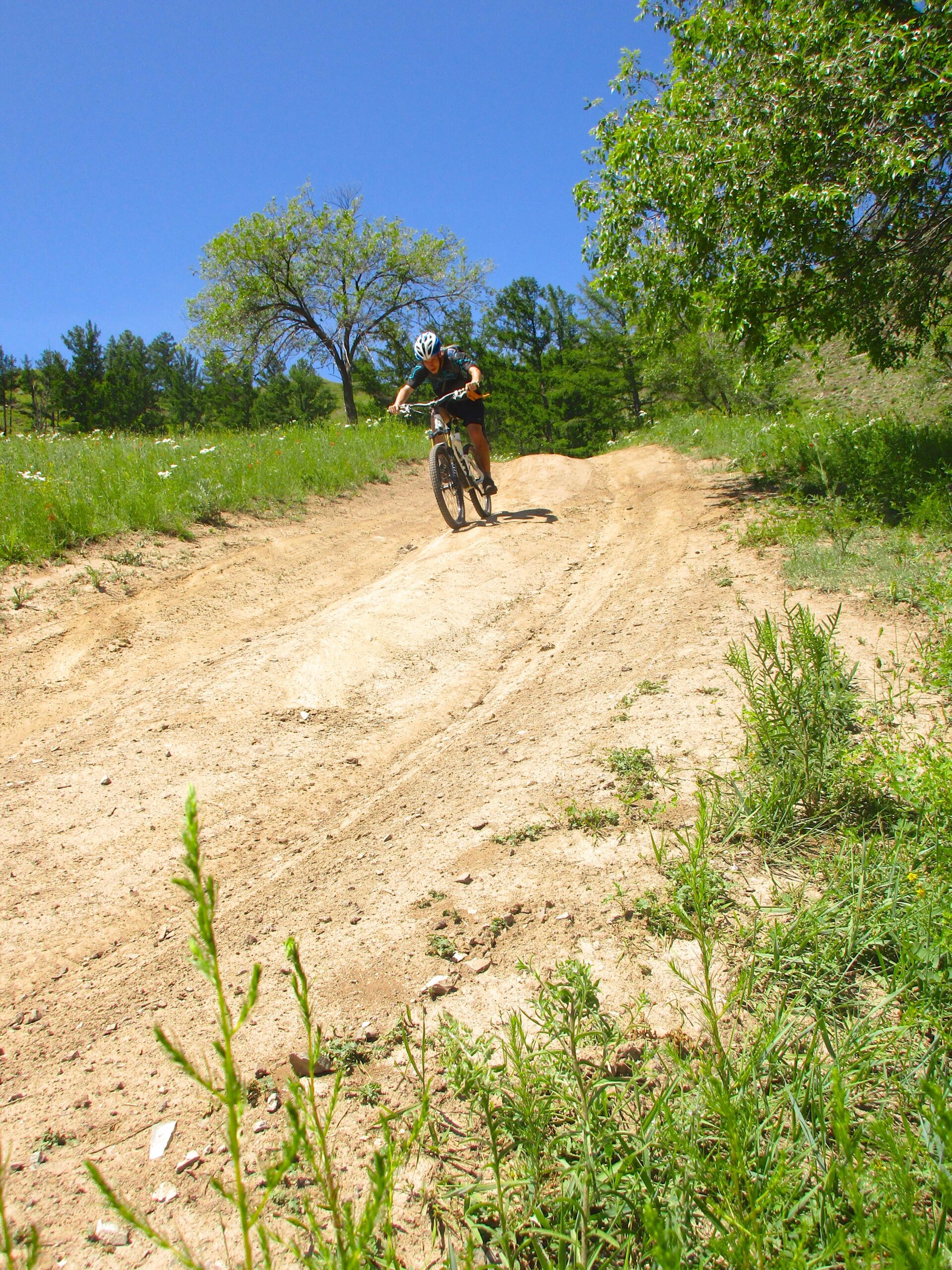 A mountain biker riding on a dirt trail surrounded by green grass and trees under a clear blue sky. The path is slightly inclined, showcasing a natural outdoor setting for biking. Khargana Gol mountain bike trail.