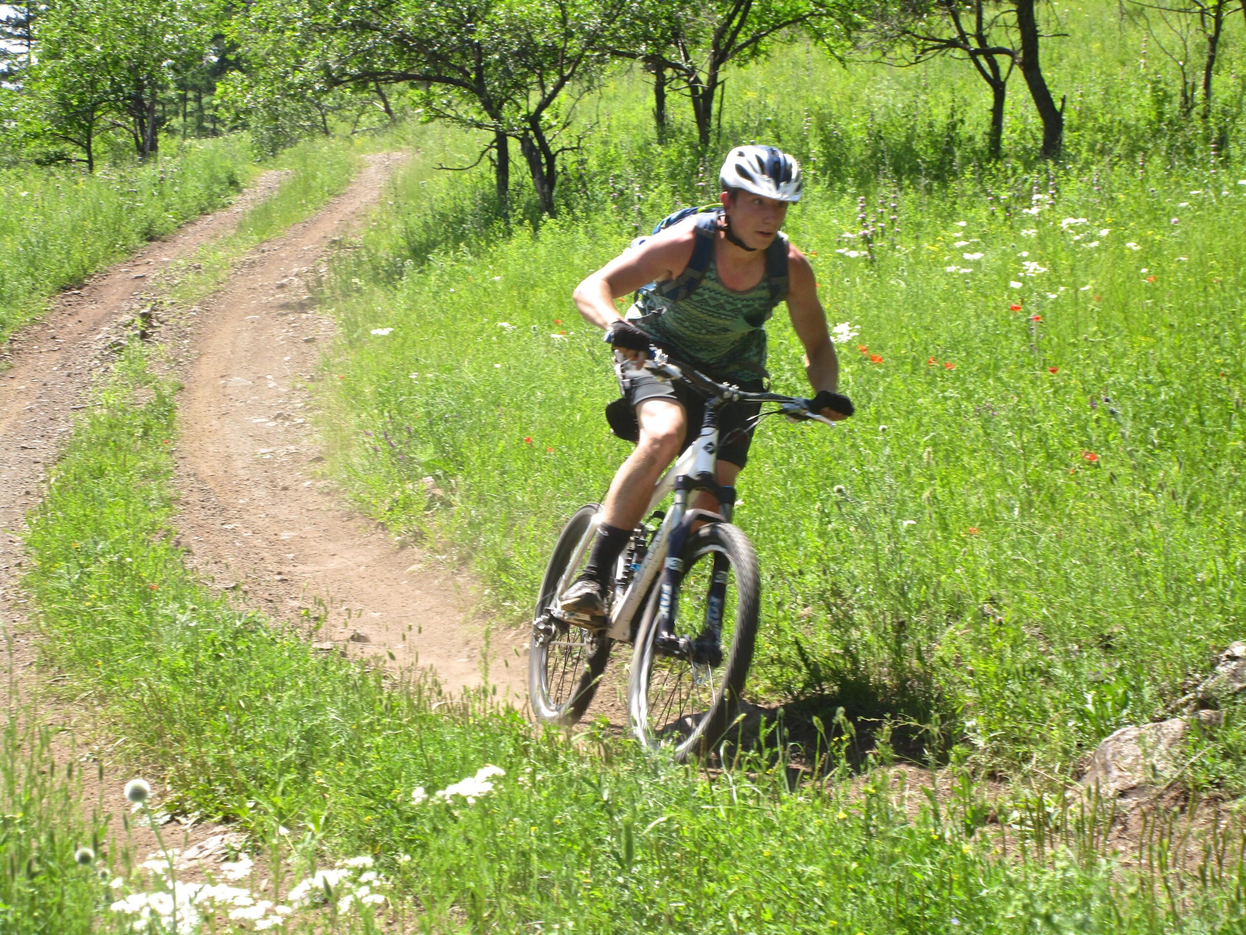 A mountain biker navigating a dirt trail through a lush green landscape, with wildflowers blooming alongside the path. The cyclist wears a helmet and rides in a focused manner while kicking up dust. Sunlight filters through the trees in the background, creating a vibrant outdoor scene. Khargana Gol mountain bike trail.