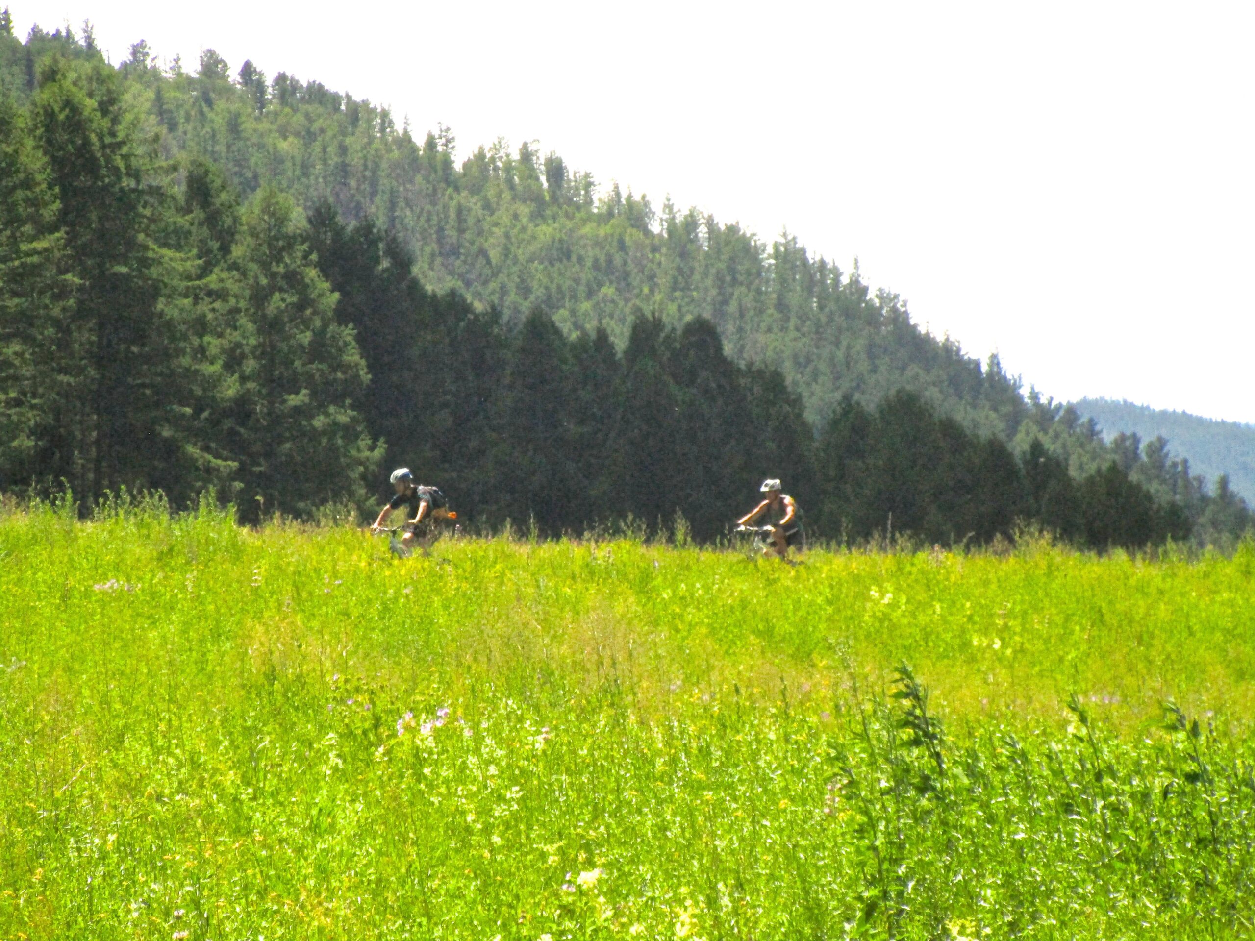 Two mountain bikers riding through a grassy field with a backdrop of dense trees and hills under bright sunlight. Khargana Gol mountain bike trail.