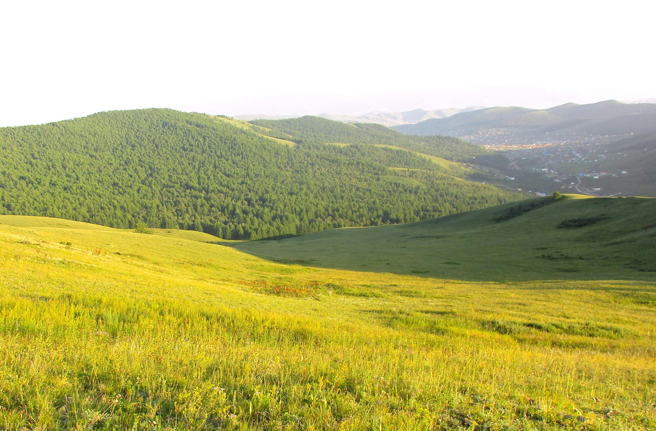 A scenic view of rolling green hills and dense forests under a clear sky. The landscape features a gentle slope, while in the background, the outline of distant mountains and a small town can be seen nestled in the valley. The sunlight casts a warm glow over the lush vegetation, creating a peaceful and serene atmosphere. Selkh Am mountain bike trail.