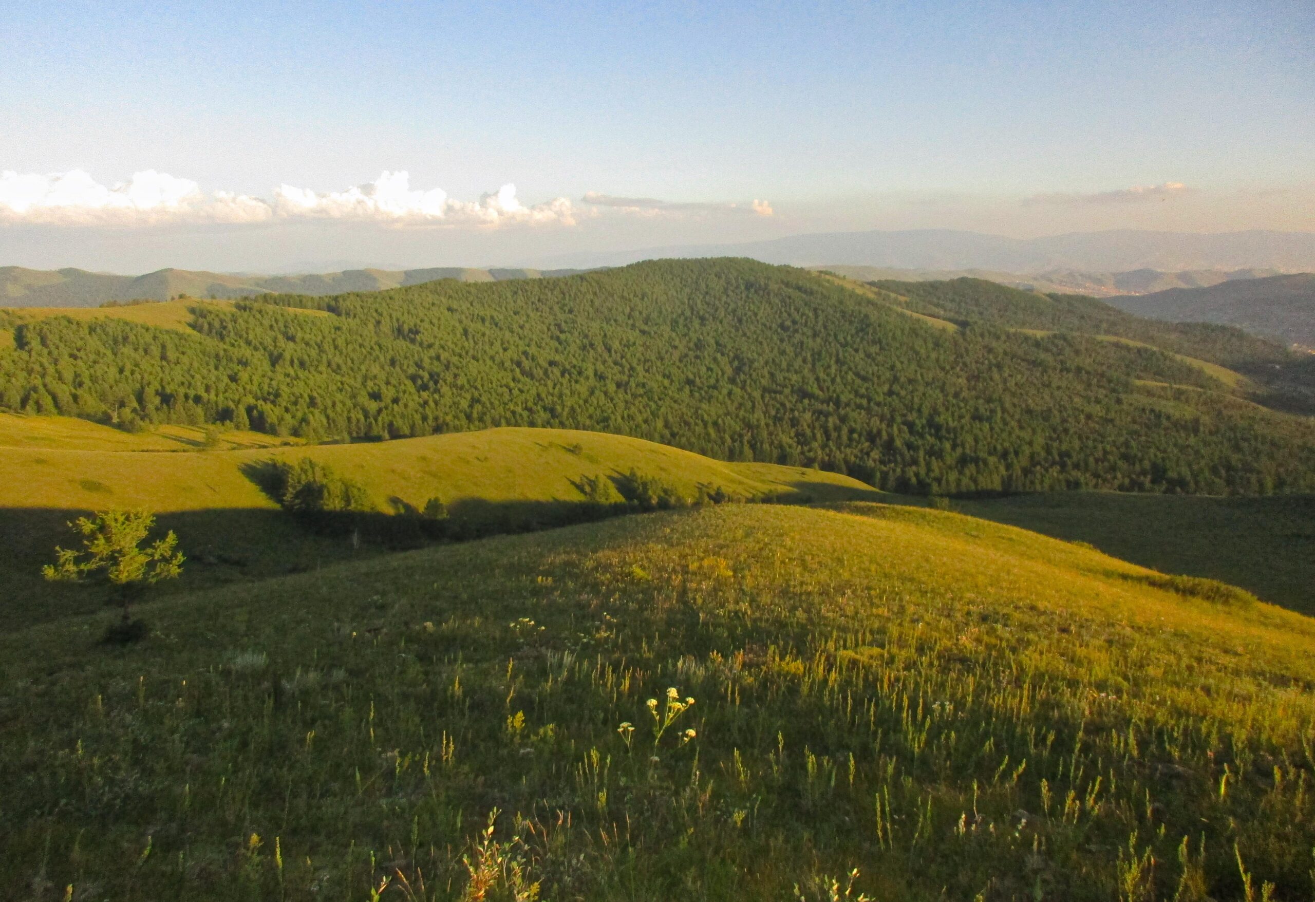 A panoramic view of rolling hills covered in lush green vegetation under a clear blue sky, with soft clouds in the background. The landscape features gentle slopes and a diverse range of trees dotting the hillsides, creating a serene and picturesque natural setting. Selkh Am mountain bike trail.