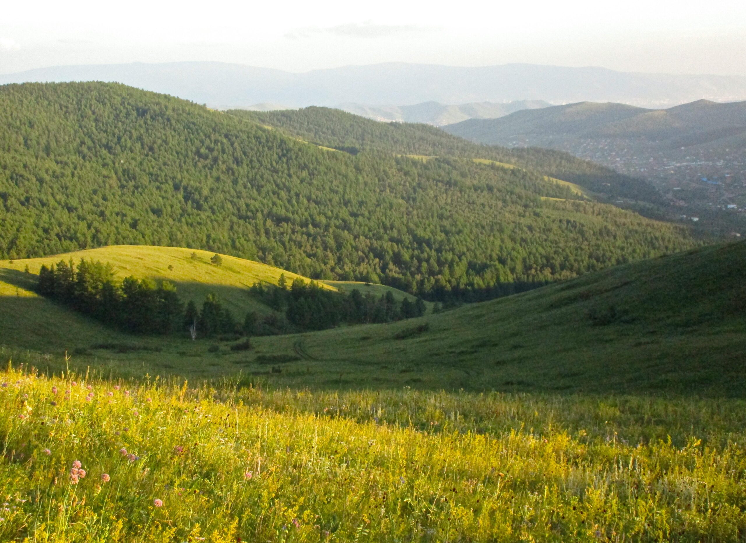 A scenic view of rolling green hills and dense forests under a soft evening light, with wildflowers dotting the grassy foreground. The landscape features a mix of grassy slopes and tree-covered hills, extending into the distance where more mountains are visible. Selkh Am mountain bike trail.