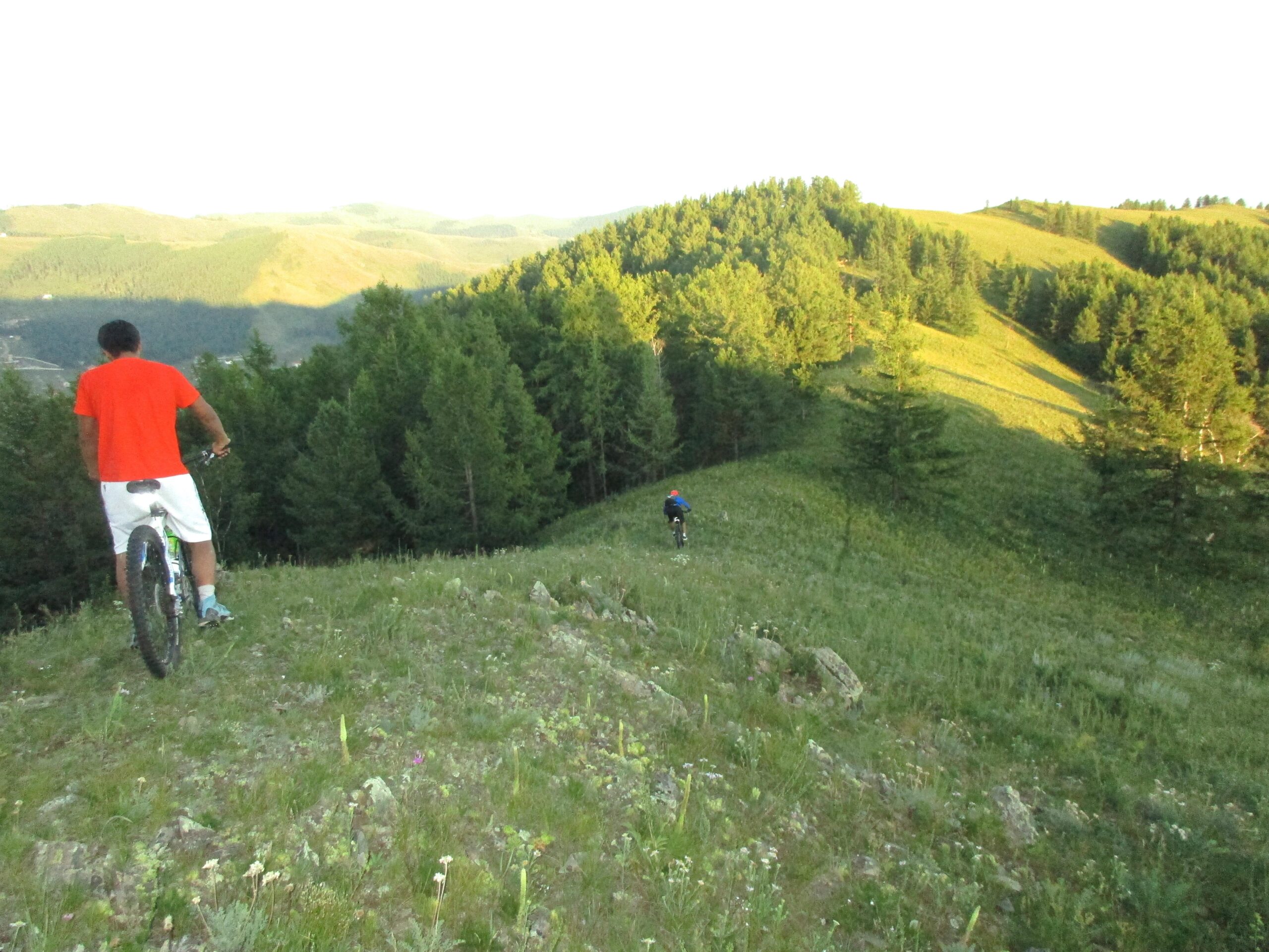Two mountain bikers riding on a grassy hillside with rolling green terrain and scattered trees in the background, under bright sunlight. One biker is in a red shirt and white shorts, pausing to look at the view, while the other is dressed in blue and pedaling down the slope. Selkh Am mountain bike trail.