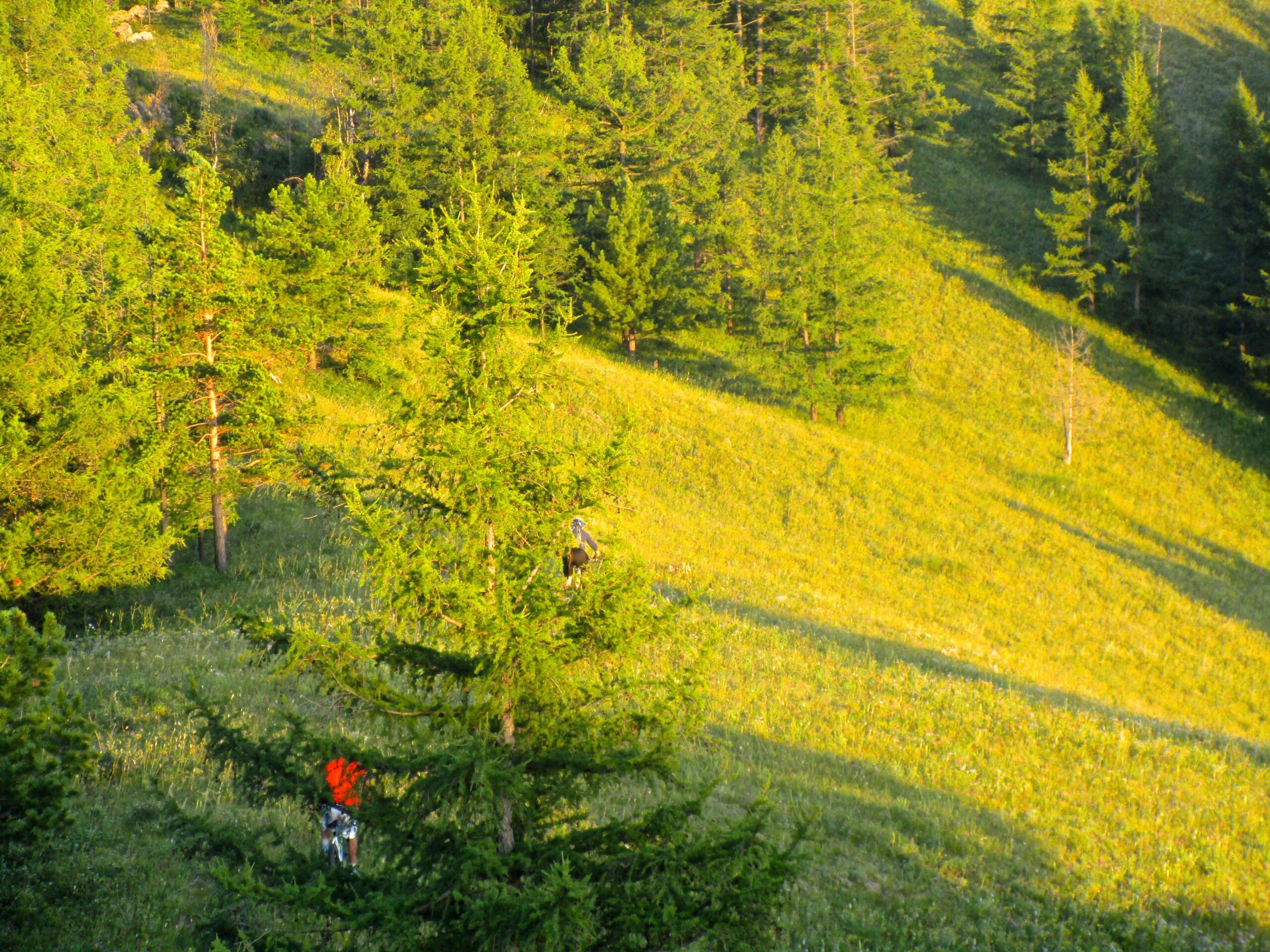 A scenic landscape featuring rolling hills covered in vibrant green grass and patches of trees, with sunlight illuminating the scene. Two hikers, one wearing an orange jacket, are seen ascending the hillside among the dense foliage. Selkh Am mountain bike trail.
