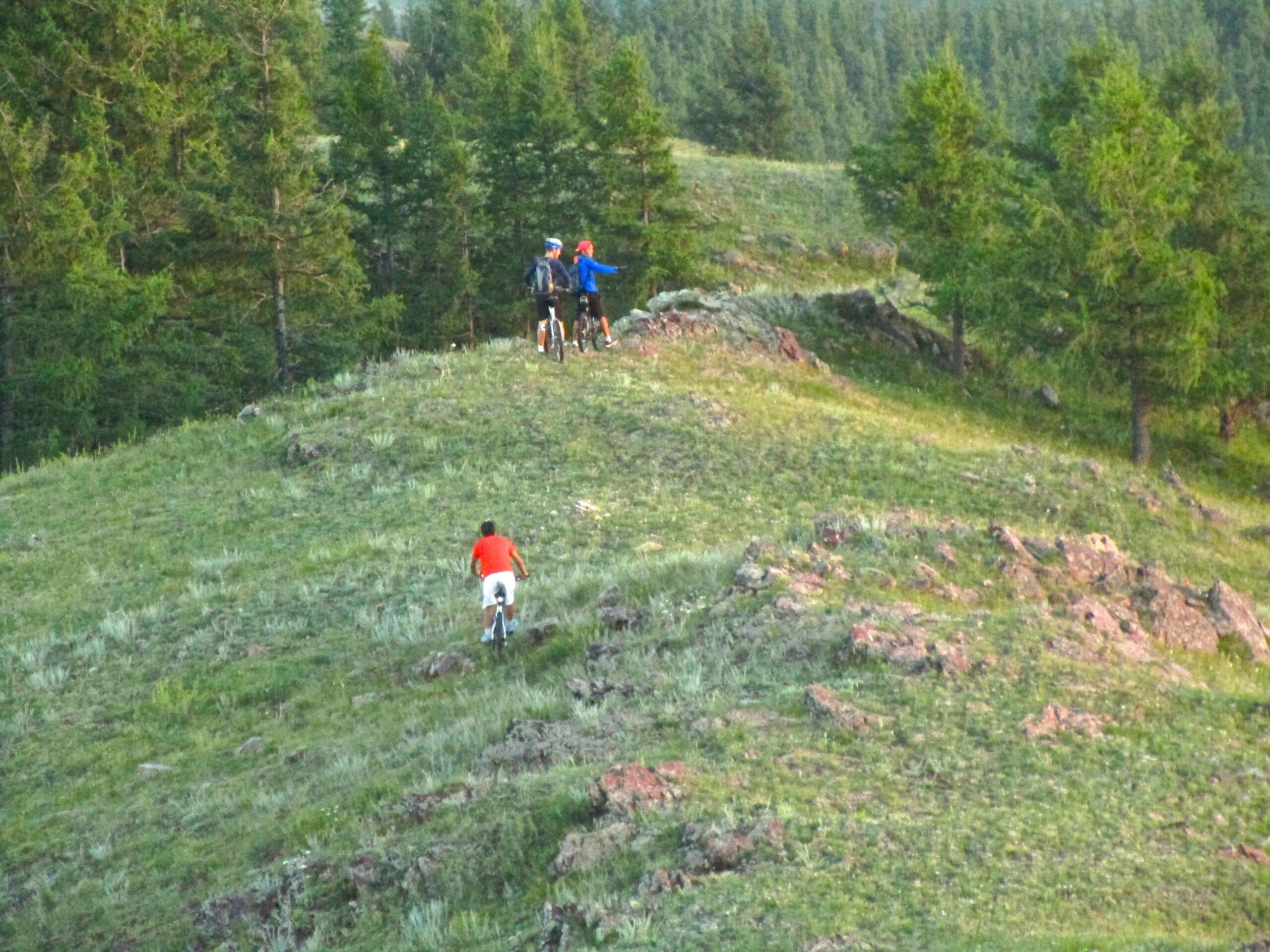 Three mountain bikers navigating a grassy hillside with scattered rocks, surrounded by lush trees. One biker is riding downhill in the foreground, while two others are ascending the slope in the background. The scene captures the adventure and natural beauty of outdoor biking. Selkh Am mountain bike trail.