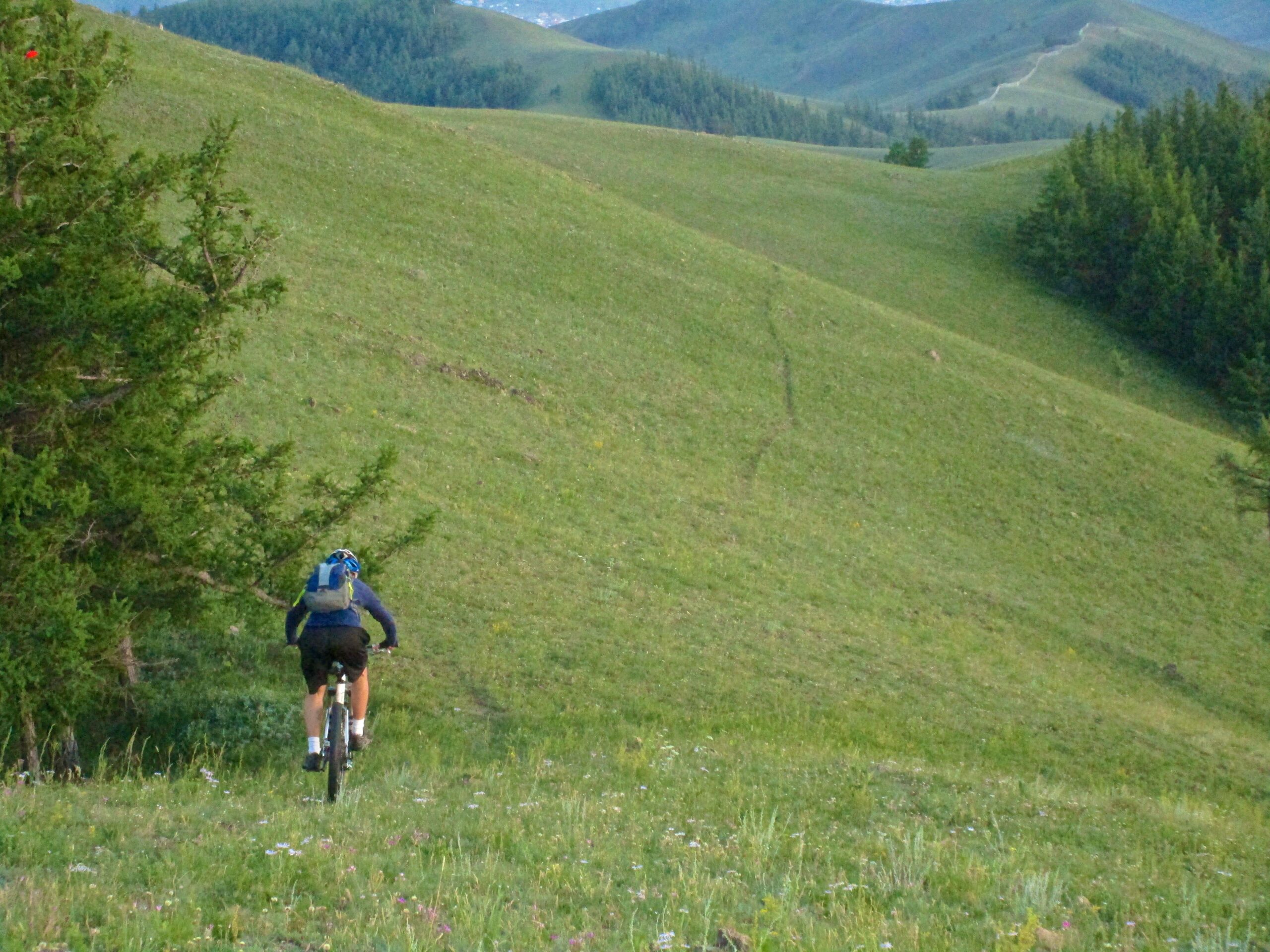 A person riding a mountain bike down a grassy hillside with trees in the foreground and rolling green hills in the background. The scene captures a sense of adventure in a natural outdoor setting. Selkh Am mountain bike trail.