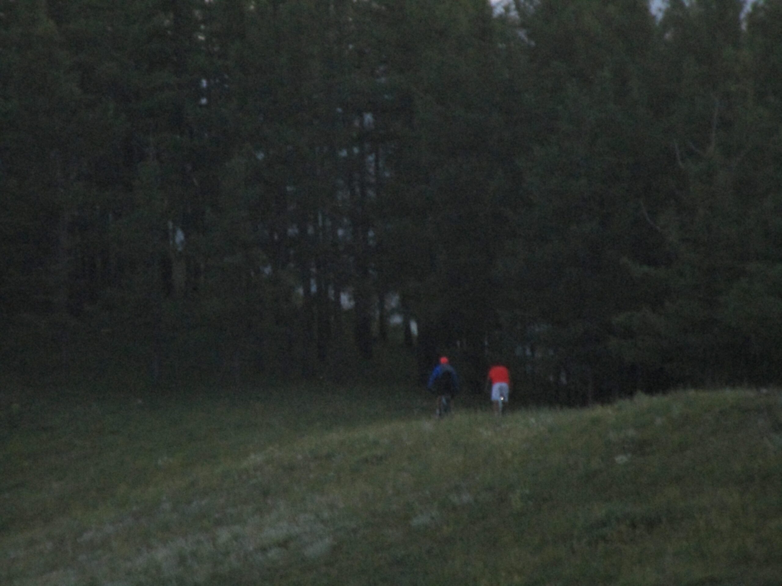 Two individuals in biking attire are riding along a grassy path near a dense line of trees, captured in a dimly lit environment. The scene conveys a sense of adventure in nature. Selkh Am mountain bike trail.