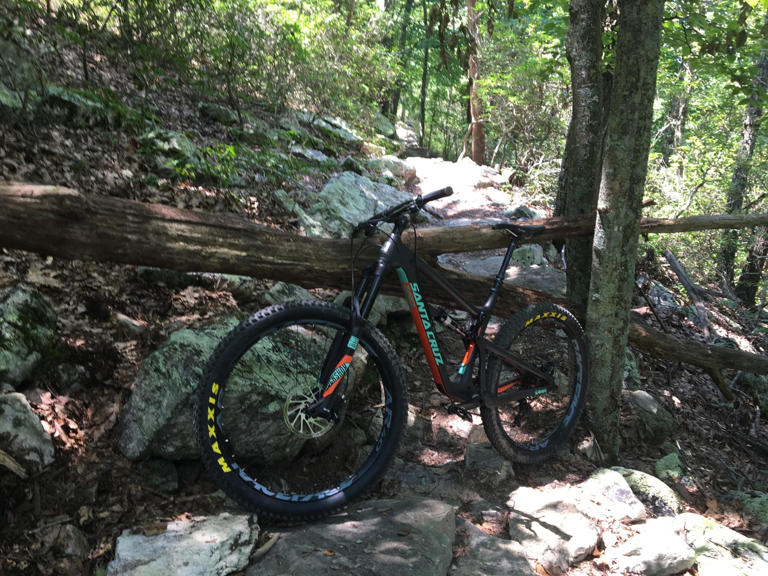 Santa Cruz Hightower 29er/27.5: A mountain bike resting against a tree near a rocky trail in a dense forest. Sunlight filters through the leaves, highlighting the bike's vibrant colors and the natural surroundings.