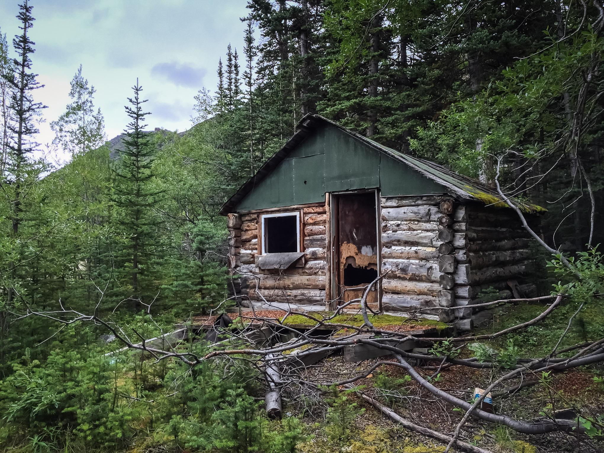 Abandoned log cabin surrounded by dense green trees and foliage, with a partially open door and a moss-covered roof. The cabin shows signs of age and neglect, with a broken window and fallen branches nearby. Atlin Mt SuperHero Trail mountain bike trail.