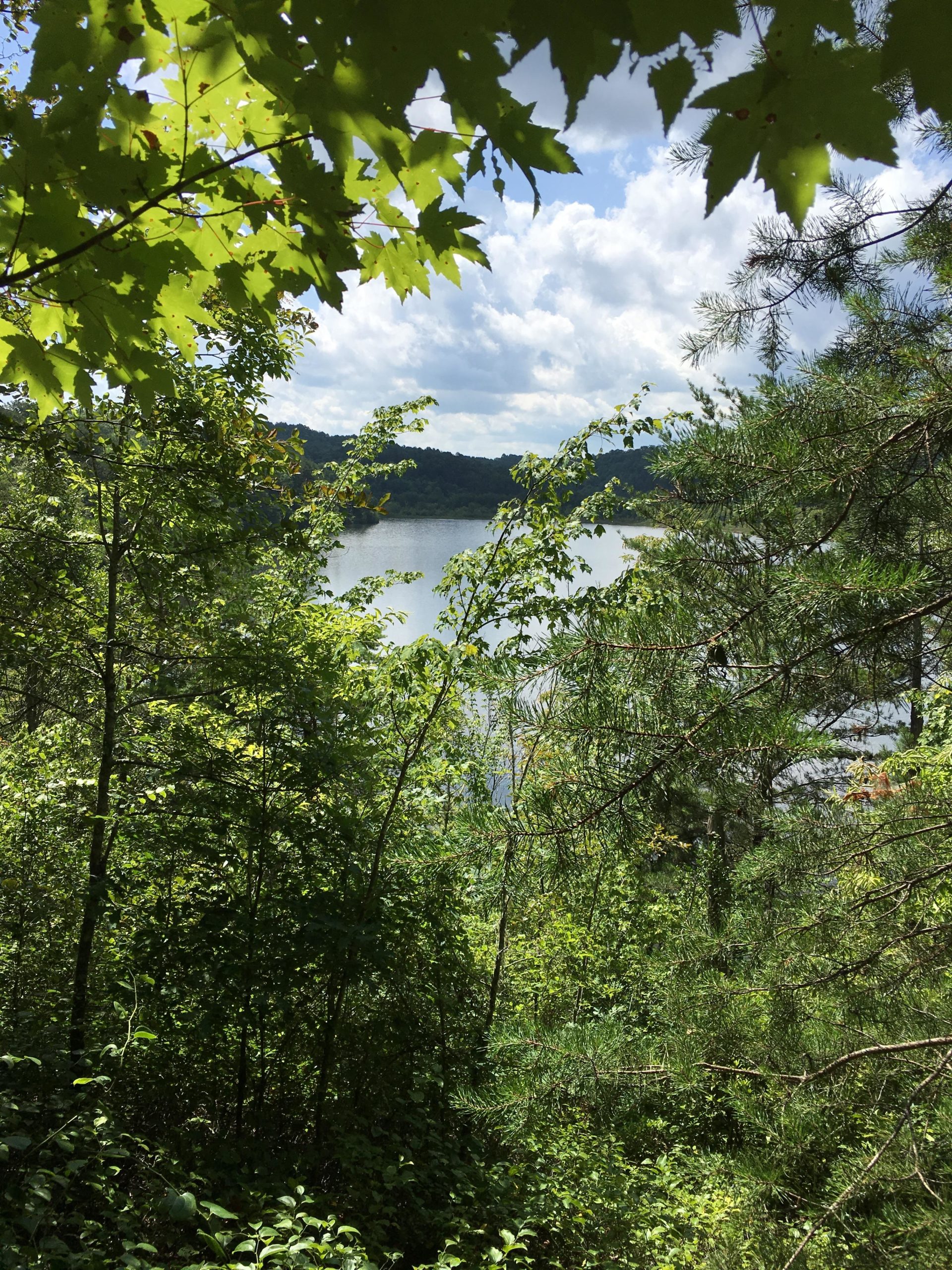 A scenic view of a calm lake surrounded by lush greenery, with sunlight filtering through leaves. The sky features a mix of clouds, creating a serene and tranquil atmosphere. Brush Creek mountain bike trail.