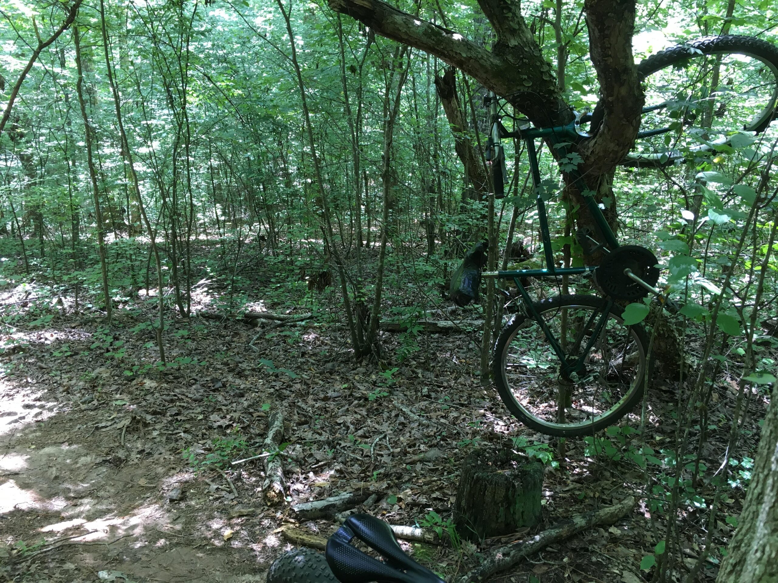  Allatoona Creek Park mountain bike trail.