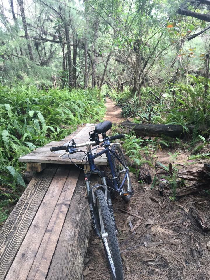 A mountain bike resting on a wooden path in a lush forest setting, surrounded by ferns and tall trees, with a dirt trail visible in the background. Oleta River State Park mountain bike trail.