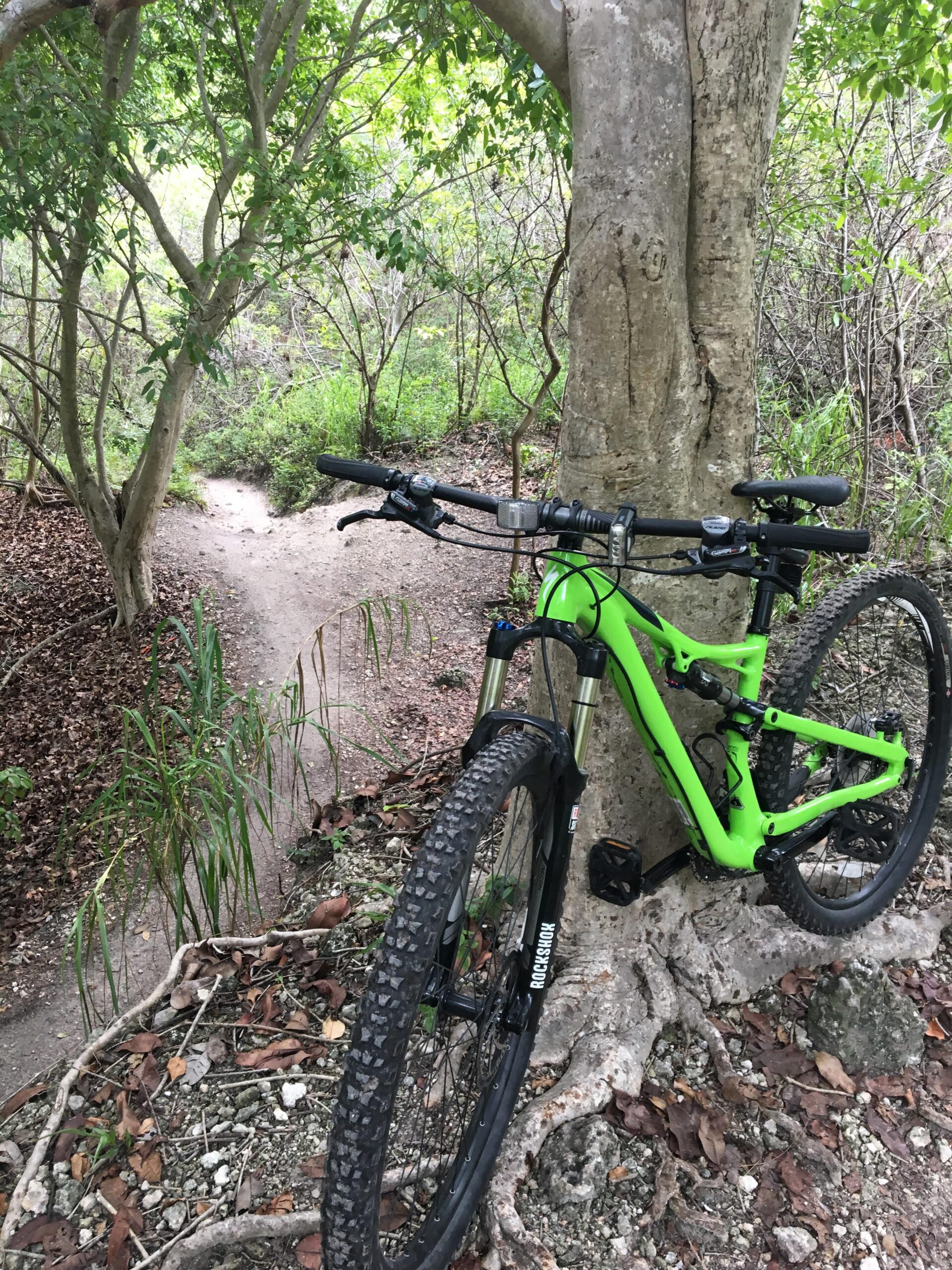 A bright green mountain bike is propped against a tree in a lush, wooded environment. A narrow dirt trail winds through the greenery in the background, surrounded by various plants and fallen leaves. The bike’s front wheel is partially visible, showcasing its tread design. Markham Park mountain bike trail.
