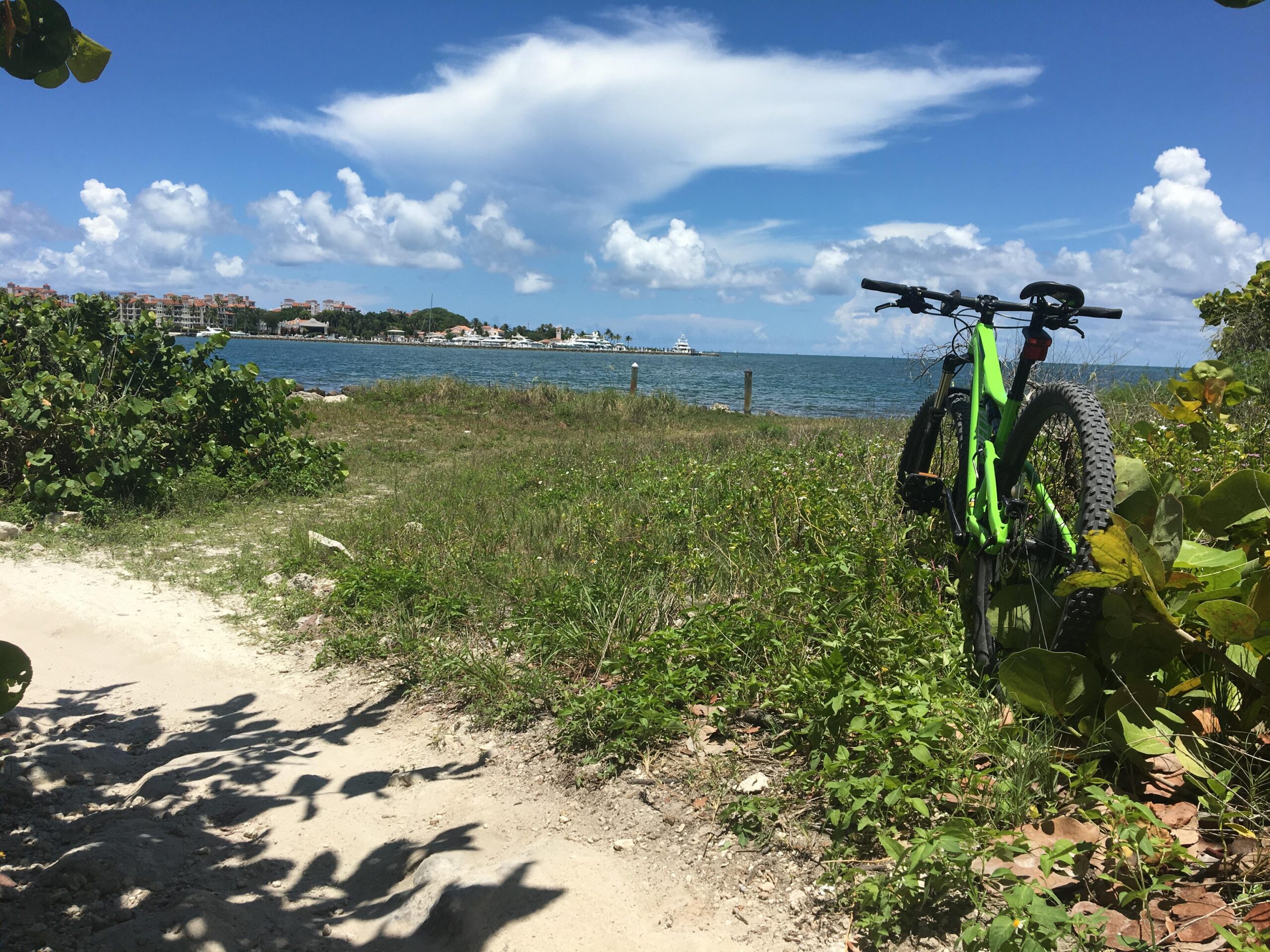 A vibrant green bicycle leaning against a bush on a sandy path, with a scenic view of a bay and blue sky in the background featuring fluffy white clouds. Virginia Key North Point mountain bike trail.