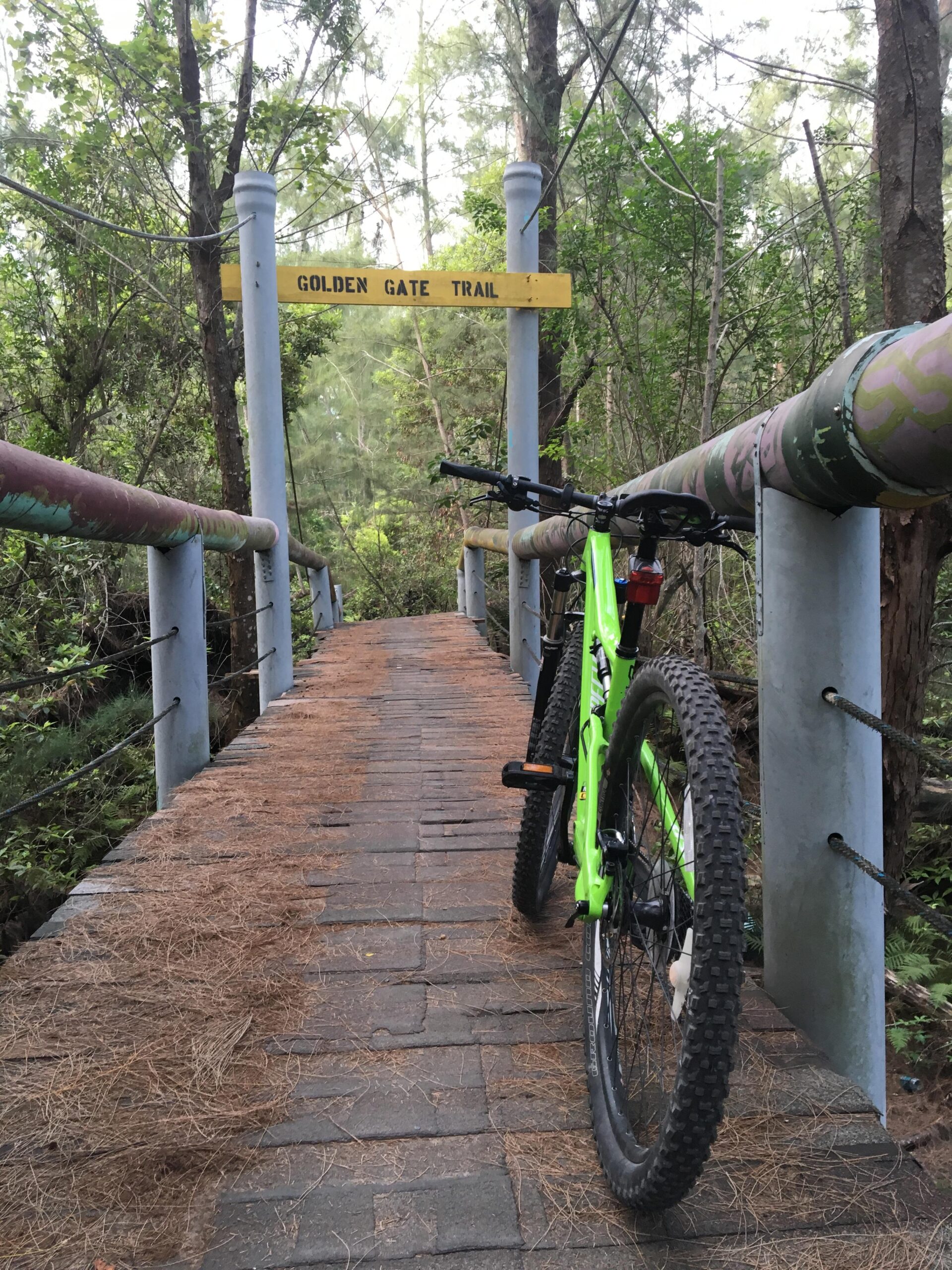 A bright green mountain bike parked on a wooden bridge leading into a forest, with a sign reading "Golden Gate Trail" above it. The scene is surrounded by lush greenery and pine needles scattered along the path. Amelia Earhart Park mountain bike trail.