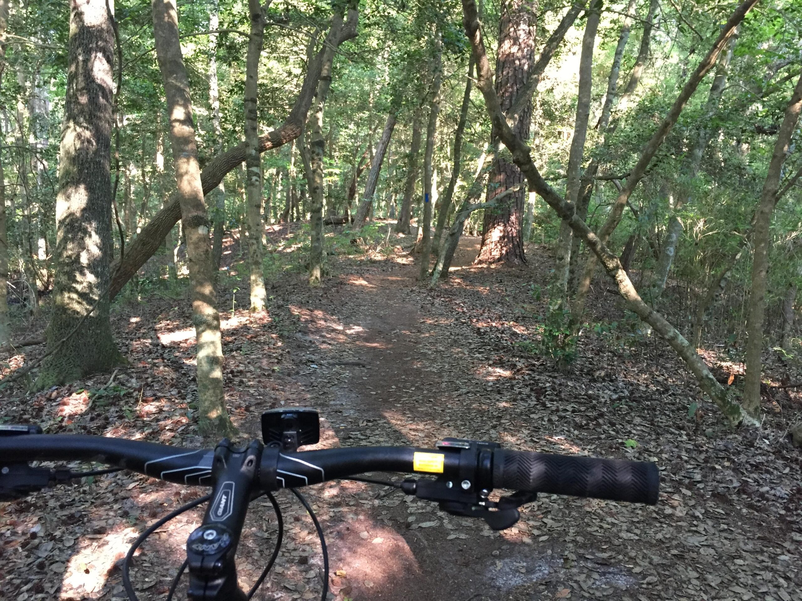 A view from the handlebars of a mountain bike on a dirt trail winding through a lush, green forest. Sunlight filters through the trees, casting dappled shadows on the ground covered with fallen leaves. The path is narrow and flanked by various trees, creating a serene and natural atmosphere. First Landing State Park mountain bike trail.