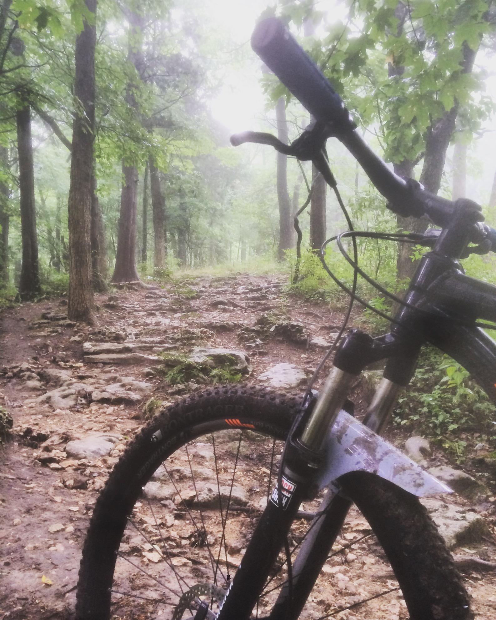 Trek X-Caliber 8: Mountain bike leaning on a rocky trail surrounded by dense green forest and fog. The image captures the bike's front wheel and handlebars, showcasing its rugged tire and suspension system, with trees and a misty path in the background.