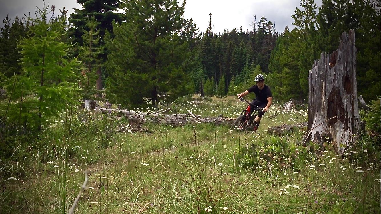 A mountain biker riding through a lush forest trail, surrounded by green trees and wildflowers. The bike is navigating a curve near a fallen log and an old tree stump, with a cloudy sky above. 8 Mile Loop/ Tr #459 mountain bike trail.