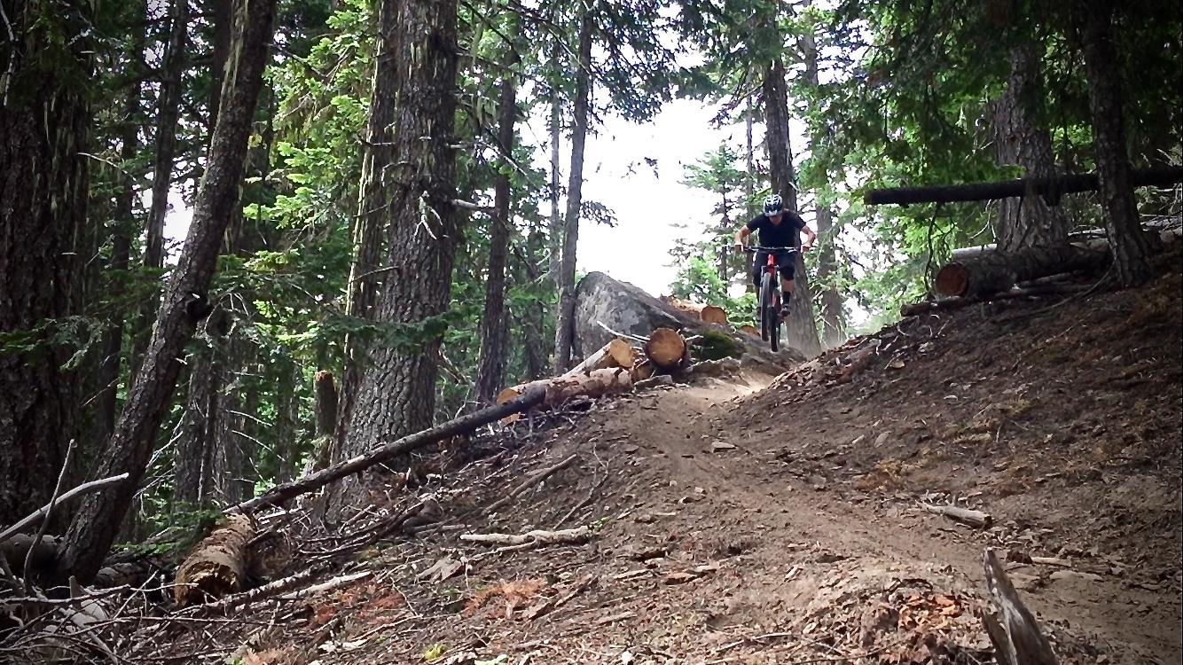 A mountain biker in mid-air jumps over a rocky path in a dense forest, surrounded by tall trees and scattered logs on the ground. 8 Mile Loop/ Tr #459 mountain bike trail.